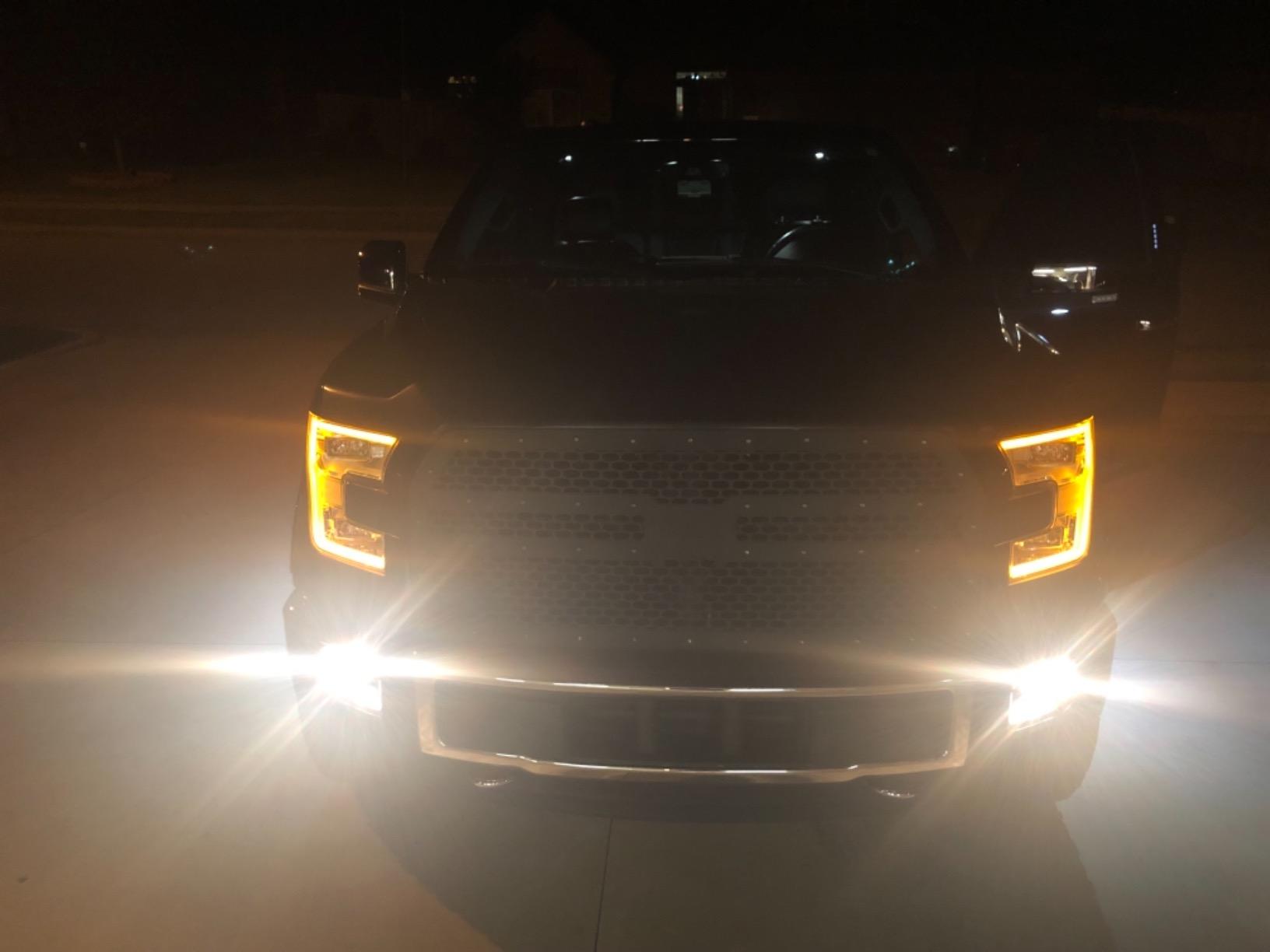 Rough Country Mesh Grille Insert for 2015-2017 Ford F-150 2WD/4WD - 70191 customer photo 2