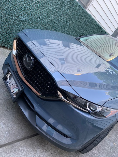 AR-PRO Ultimate License Plate Bumper Guard Screws Included - 2.3