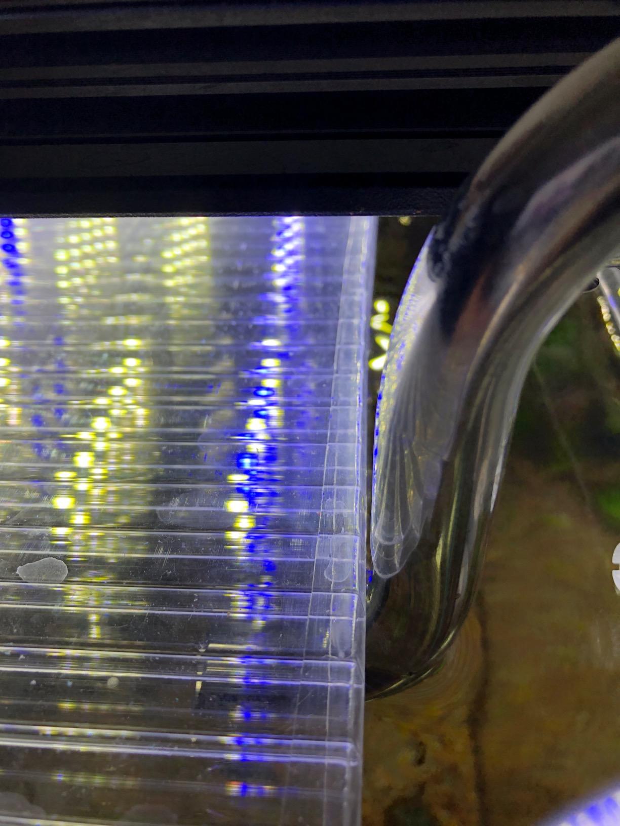 QBUC Car Door Entry Guards Scratch Cover Protector Paint Threshold Guard,Front Rear Door Entry Sill Guard Scuff Plate for Most Cars,2.7in9.8ft(7cm*3m) Transparent customer photo 2