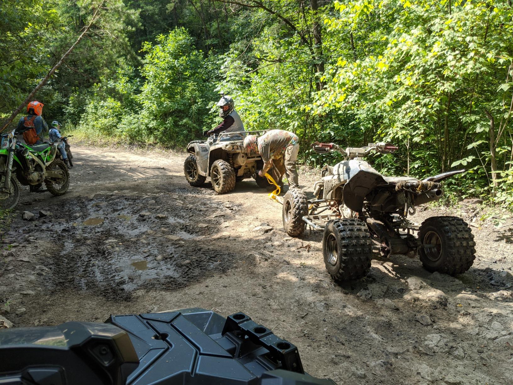 Tree Saver Strap, 3 inchX9 Foot Winch Strap, Tow Strap, Heavy Duty 36,000 Pound Capacity customer photo 2