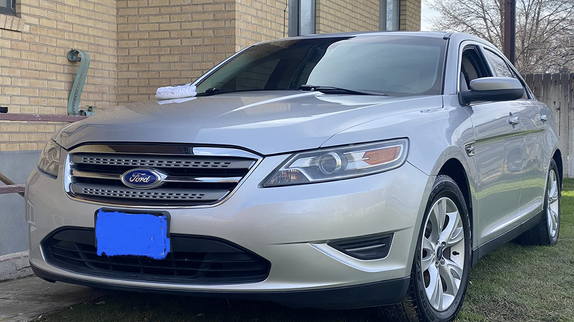 DEWALT 20V MAX* XR Cordless Polisher, Rotary, Variable Speed, 7-Inch, 180 mm, Tool Only (DCM849B) customer photo 2