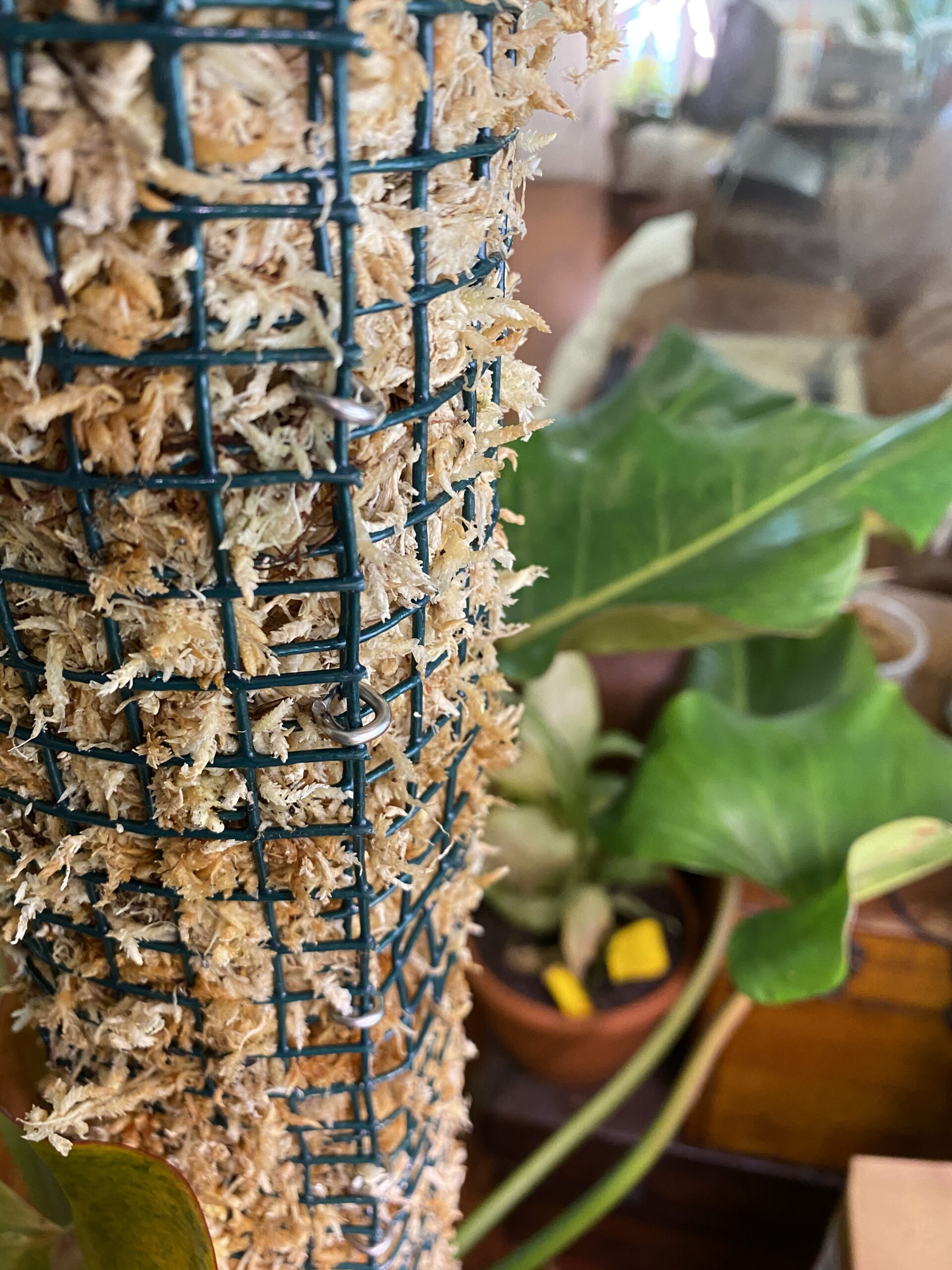 Professional Heavy Duty Hog Ring Pliers (with 3/8 Stainless Hog Rings) customer photo 2