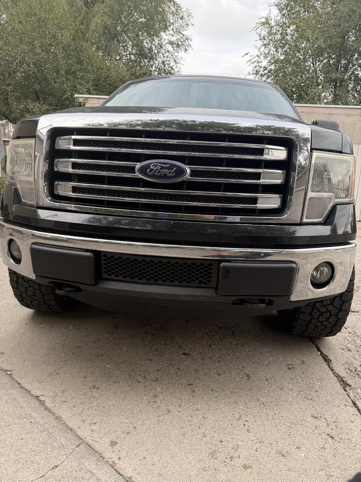 Small Diamond Powder Coated Black Stainless Steel Bumper Grille Insert Compatible with 2009-2014 Ford F-150 M2M #100-280-1 customer photo 1