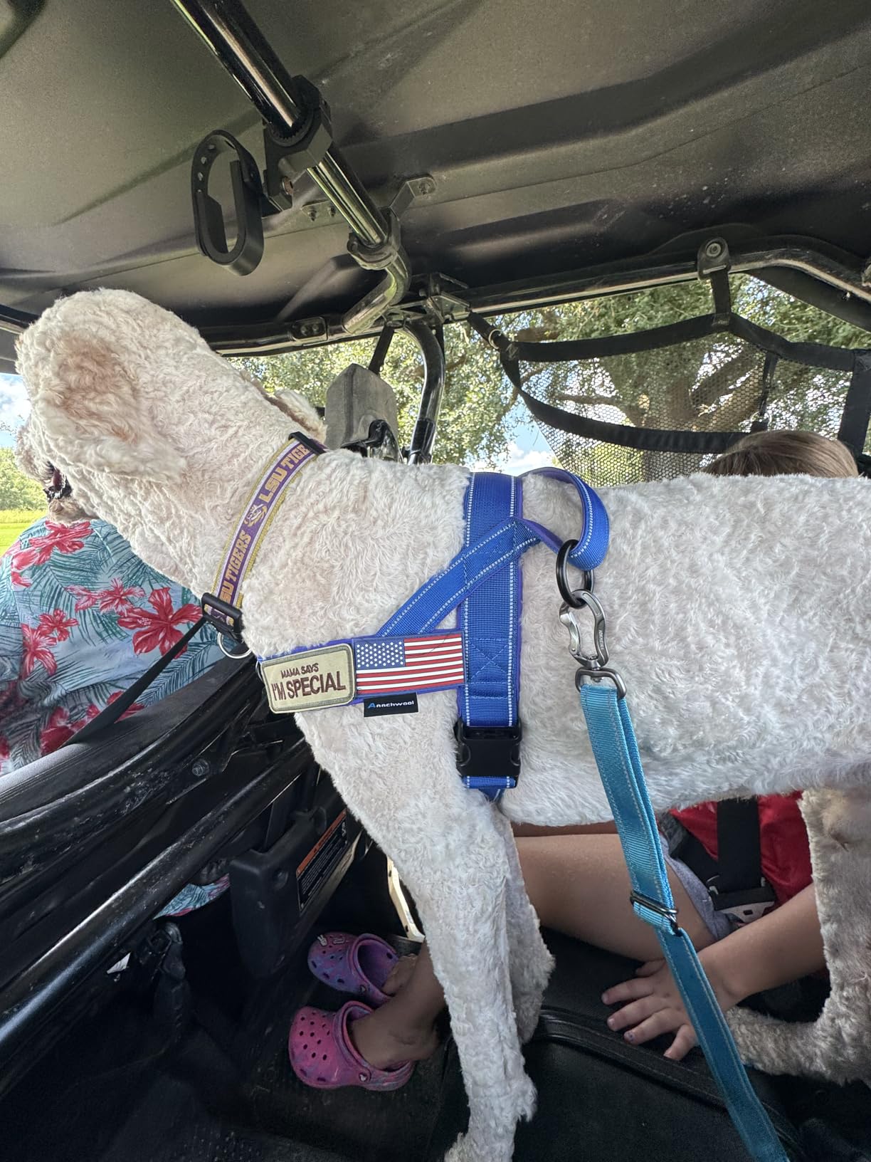 IOKHEIRA Dog Seatbelt, Updated Adjustable Harness Reflective Bungee Dog Car Seat Belt with Aviation Aluminum Alloy Rotatable Carabiner, Hook & Buckle customer photo 2