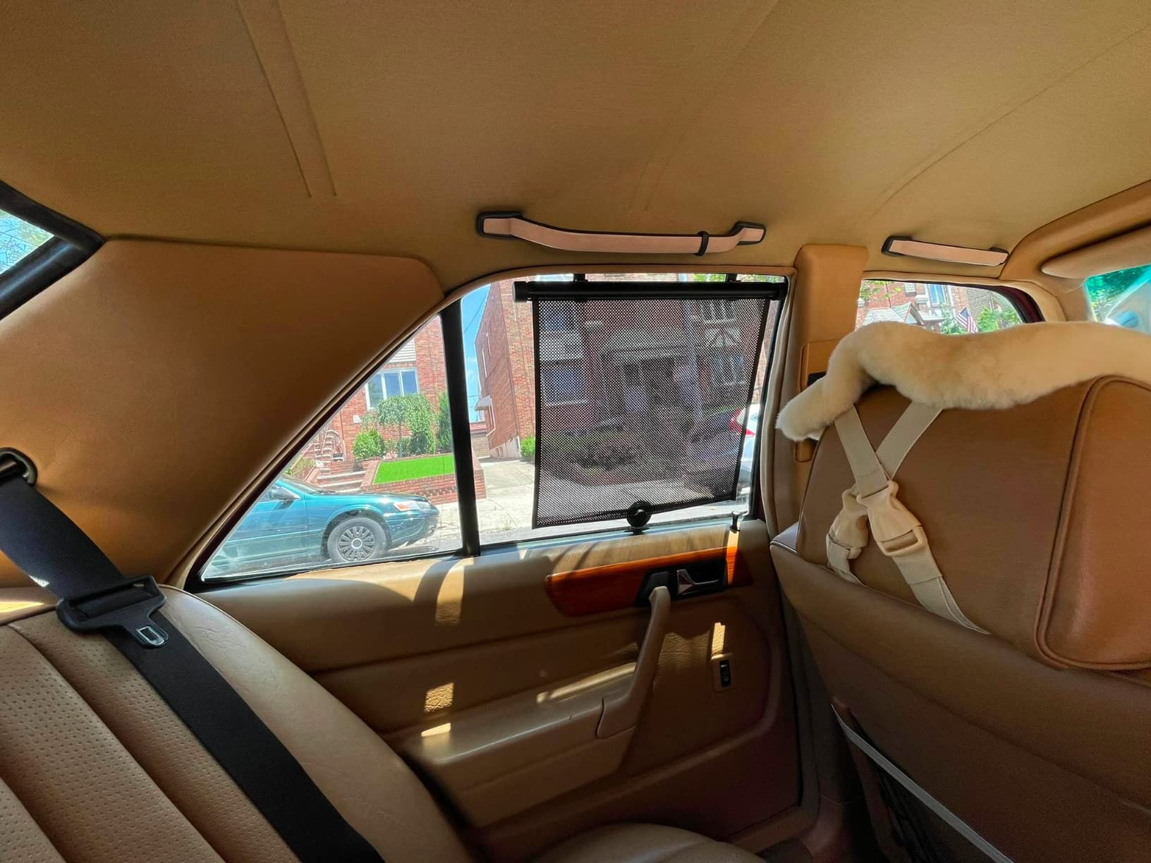 EcoNour Back Window Sun Shade for Car | Rear Window Shade with 99% Sun Protection from UV and Heat | Sun Shade for Car Window Baby Offers Complete Coverage for Rear Windshield | Medium (39