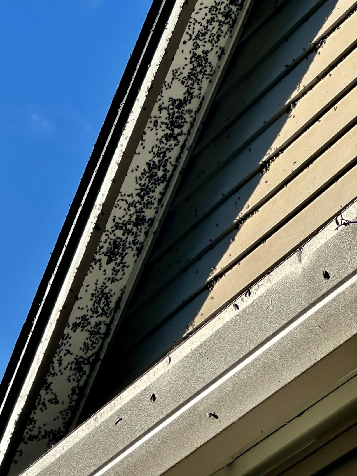 GDHXW X-887 High Pressure Washer Gun with Foam Cannon 2 Adapter 7 Pressure Washer Nozzles,for Car Washing customer photo 2