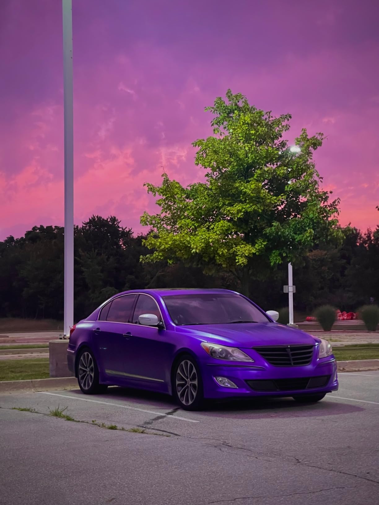 Pro Vinyl Wraps Applicator Tool Kit Window Tint Film Car Wrapping Tools Includes Felt Squeegees, Plastic Scraper, Wrap Knife and Blades, Magnetic Holders, Cleaning Cloth, Gloves and Finger Sleeve customer photo 1