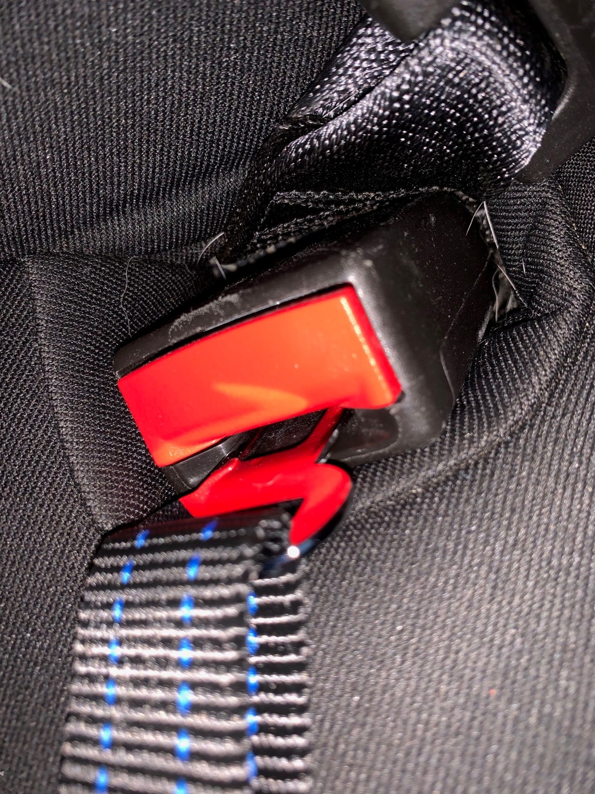 Active Pets Black Car Seat Belt for Dogs, Attaches to Harness & Collar, Adjustable 18