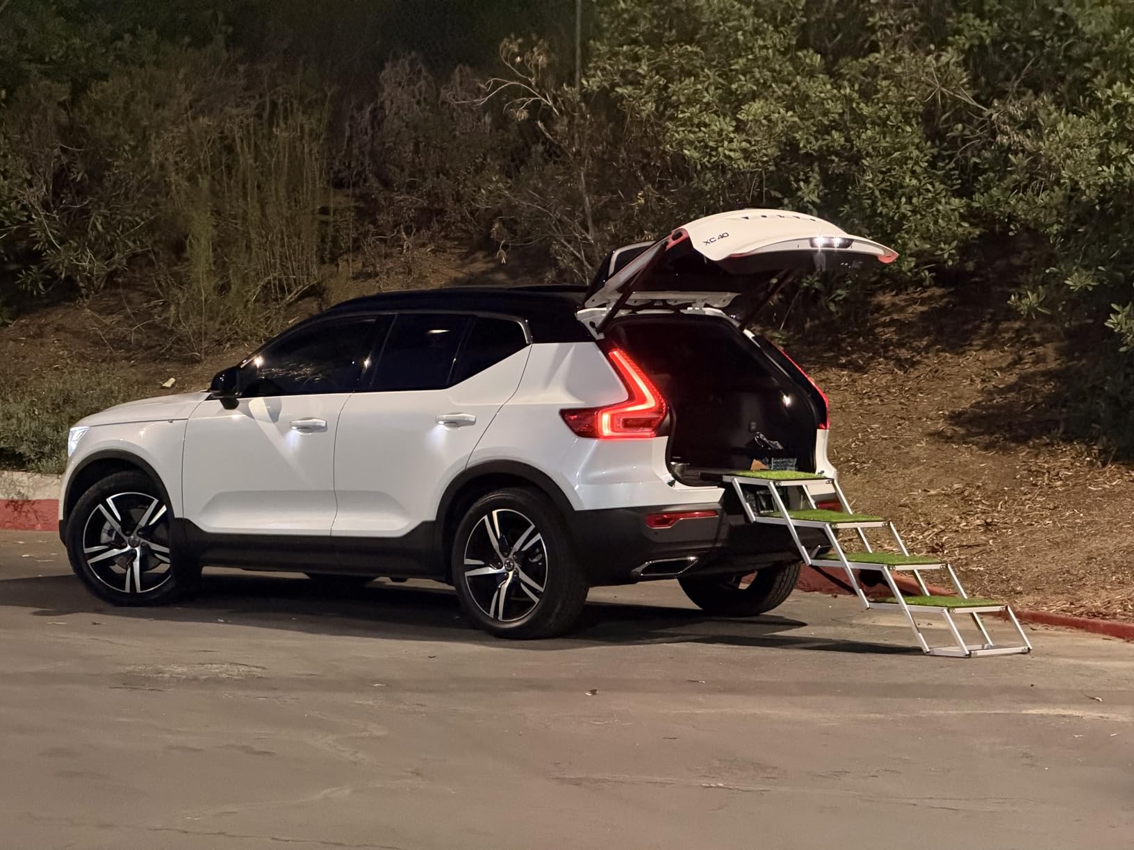 Dog Ramp for Car, Extra Wide Dog Stair for Large Dogs Car, Pet Steps Light Weight Aluminum Foldable Dog Steps for Cars and SUV,High Beds, Trucks, Supports up to 200 lbs (Extra Wide-4 Steps) customer photo 1