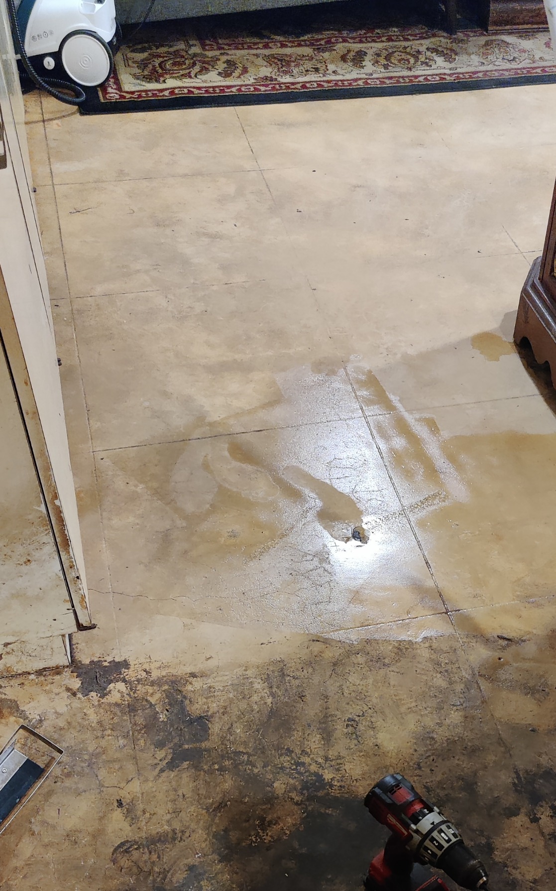 POLTI Vaporetto Smart 100 Steam Cleaner with Unlimited Steam Technology, Sanitize Floors, Carpets and Surfaces Adjustable High Power Steam Pressure Up to 58 PSI with 10 Accessories 1 Year Warranty customer photo 2