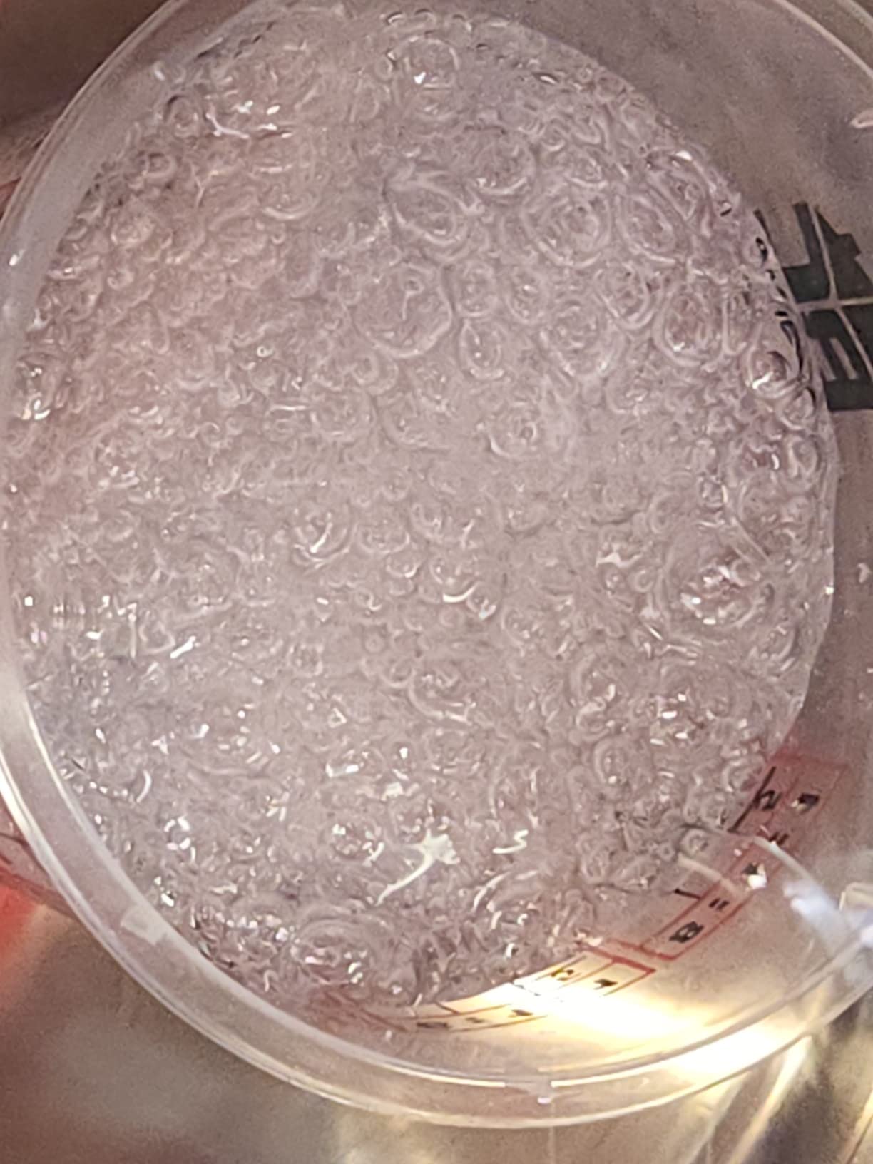 TCP Global 20 oz. (600ml) Graduated Plastic Mixing Cups - Box of 50 with 50 Mixing Sticks - Disposable Plastic Measuring Cups for Liquids, Paints, Resin, Epoxy, Art, Kitchen - Ratios 2-1, 3-1, 4-1 ML customer photo 1