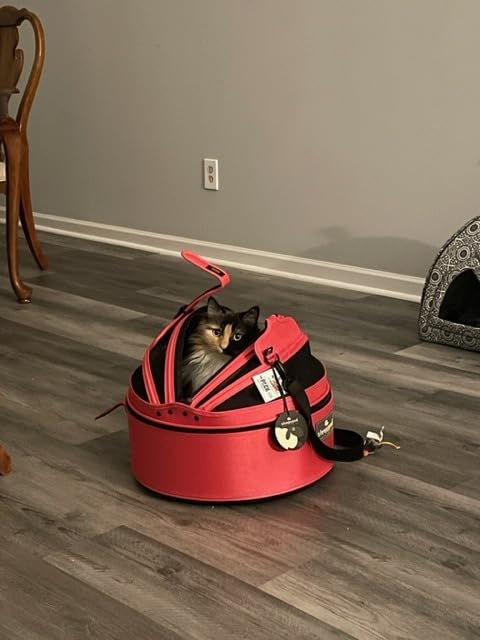 Sleepypod Mobile Pet Bed - Multi-use Travel Pet Bed, Crash-Tested Car Seat, & Carrier for Dogs and Cats up to 15 Pounds (Charcoal Grey) customer photo 1