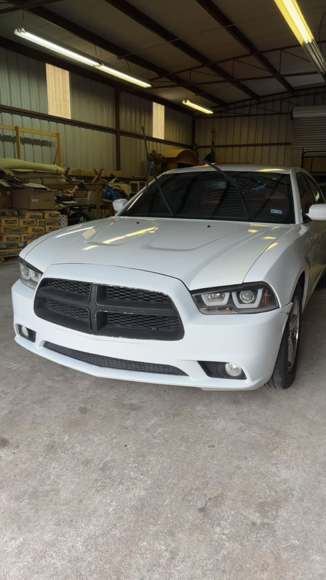 P&S Professional Detail Products Bug Off Insect Remover - Industrial-Strength Bug Splatter Cleaner, Safe for Paint, Trim & Grills, Pre-Wash Treatment, Easy Spray & Rinse Formula - 1 Gallon customer photo 1