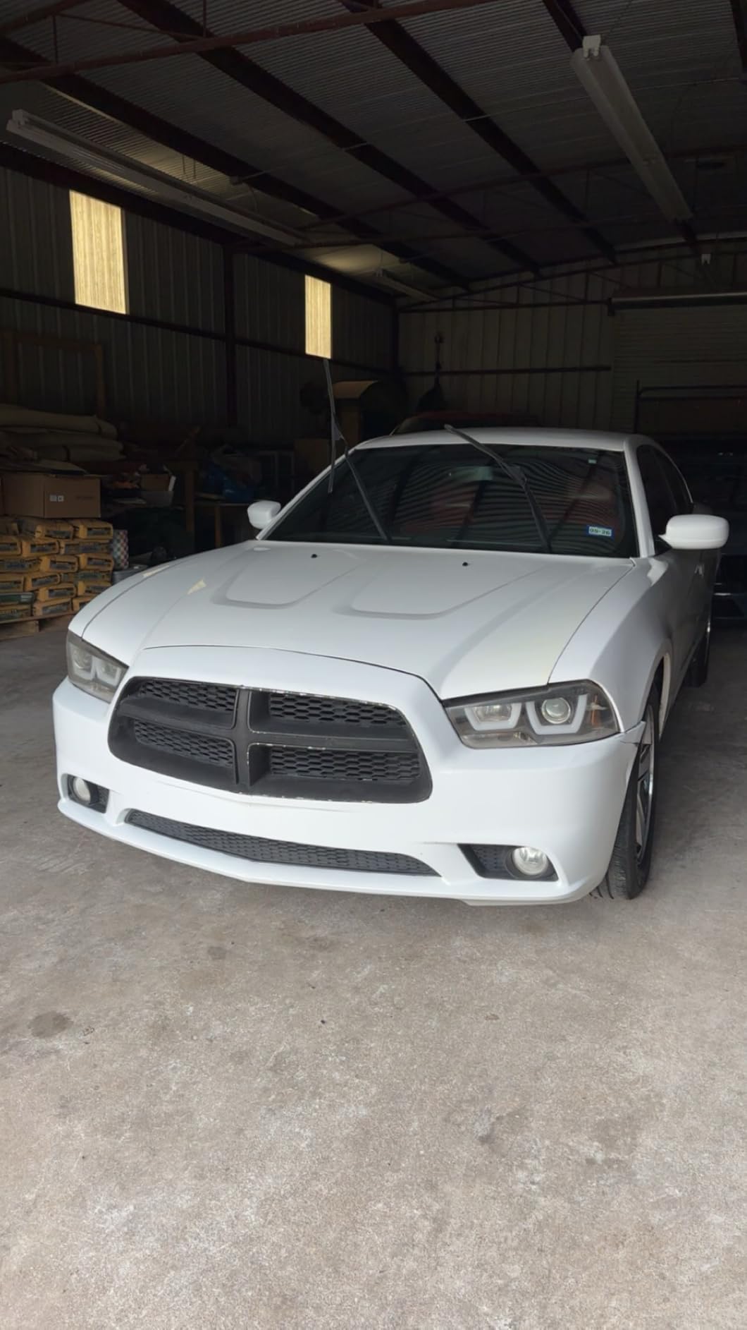 P&S Professional Detail Products Bug Off Insect Remover - Industrial-Strength Bug Splatter Cleaner, Safe for Paint, Trim & Grills, Pre-Wash Treatment, Easy Spray & Rinse Formula - 1 Gallon customer photo 2