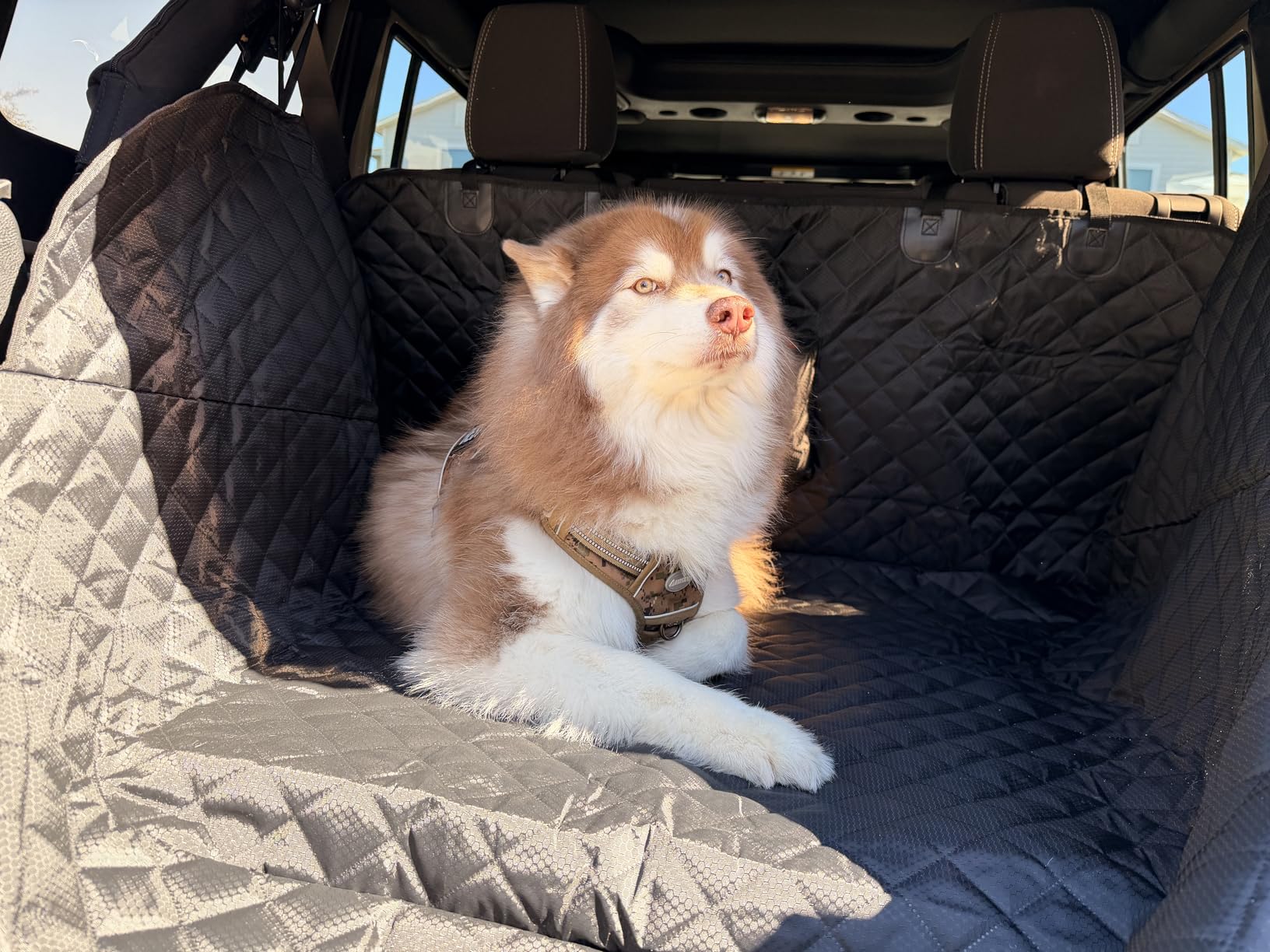 PETICON SUV Cargo Liner for Dogs, Waterproof Pet Cargo Cover Dog Seat Mat for SUVs Sedans Vans with Bumper Flap Protector, Non-Slip, Large Size Universal Fit, Black customer photo 1