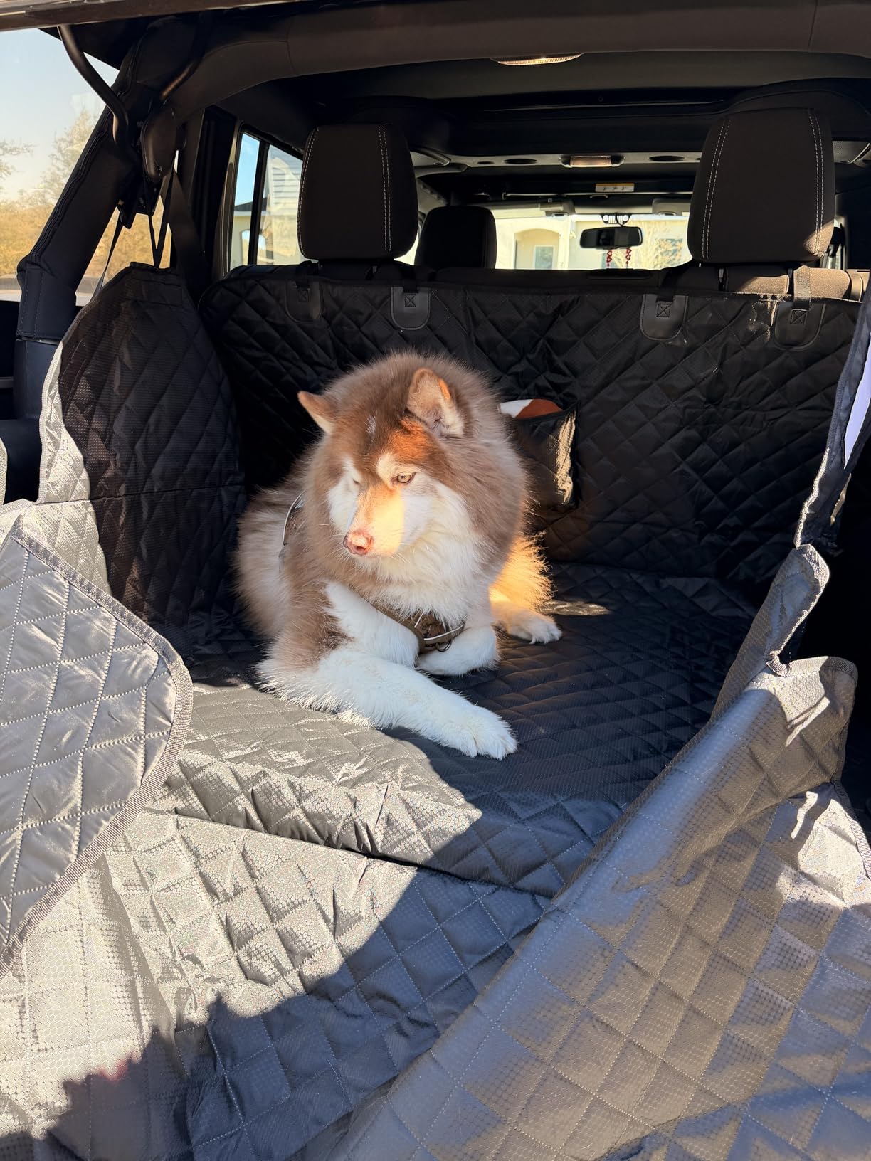 PETICON SUV Cargo Liner for Dogs, Waterproof Pet Cargo Cover Dog Seat Mat for SUVs Sedans Vans with Bumper Flap Protector, Non-Slip, Large Size Universal Fit, Black customer photo 2