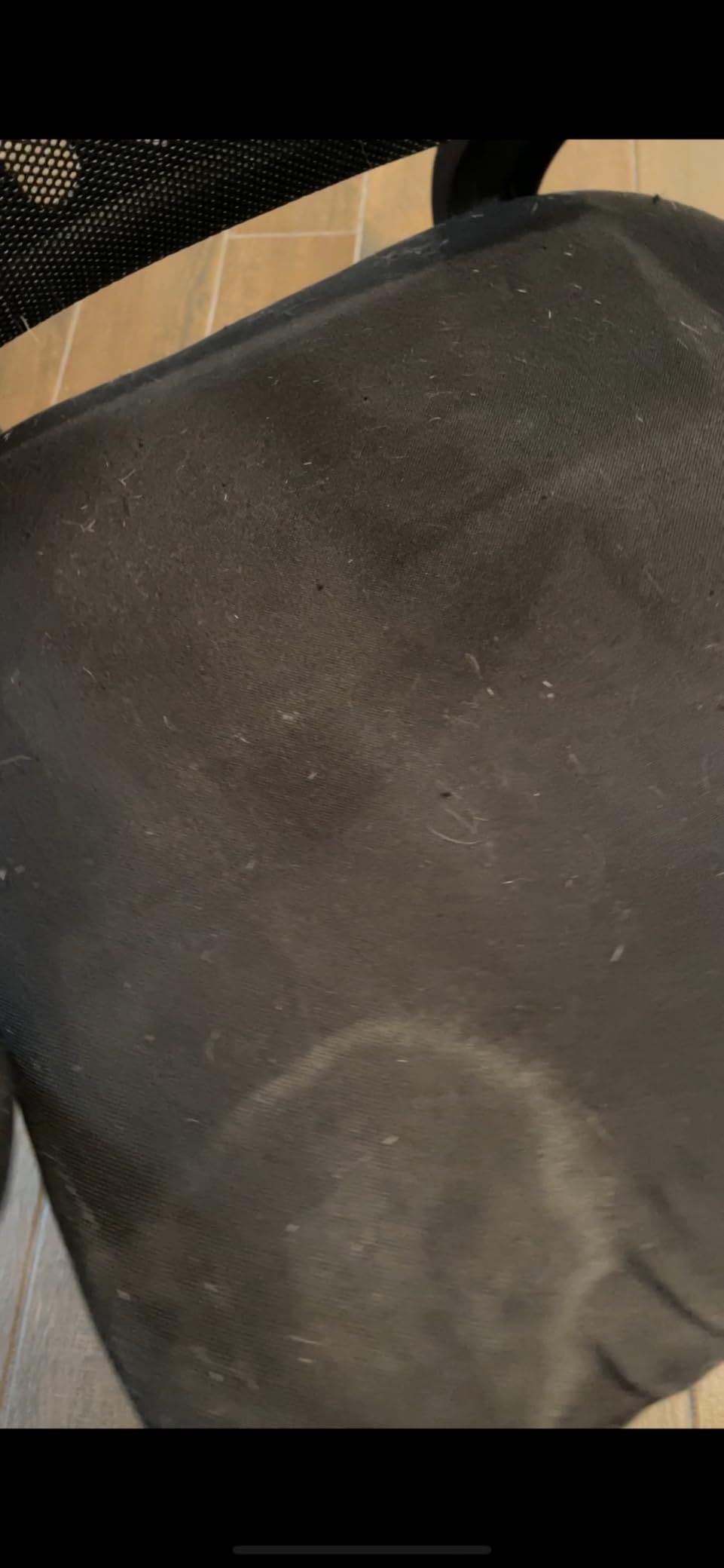 Vacmaster 5-Gallon* 4 Peak HP Stainless Steel Wet/Dry Vacuum - VOC508S 1101 customer photo 1