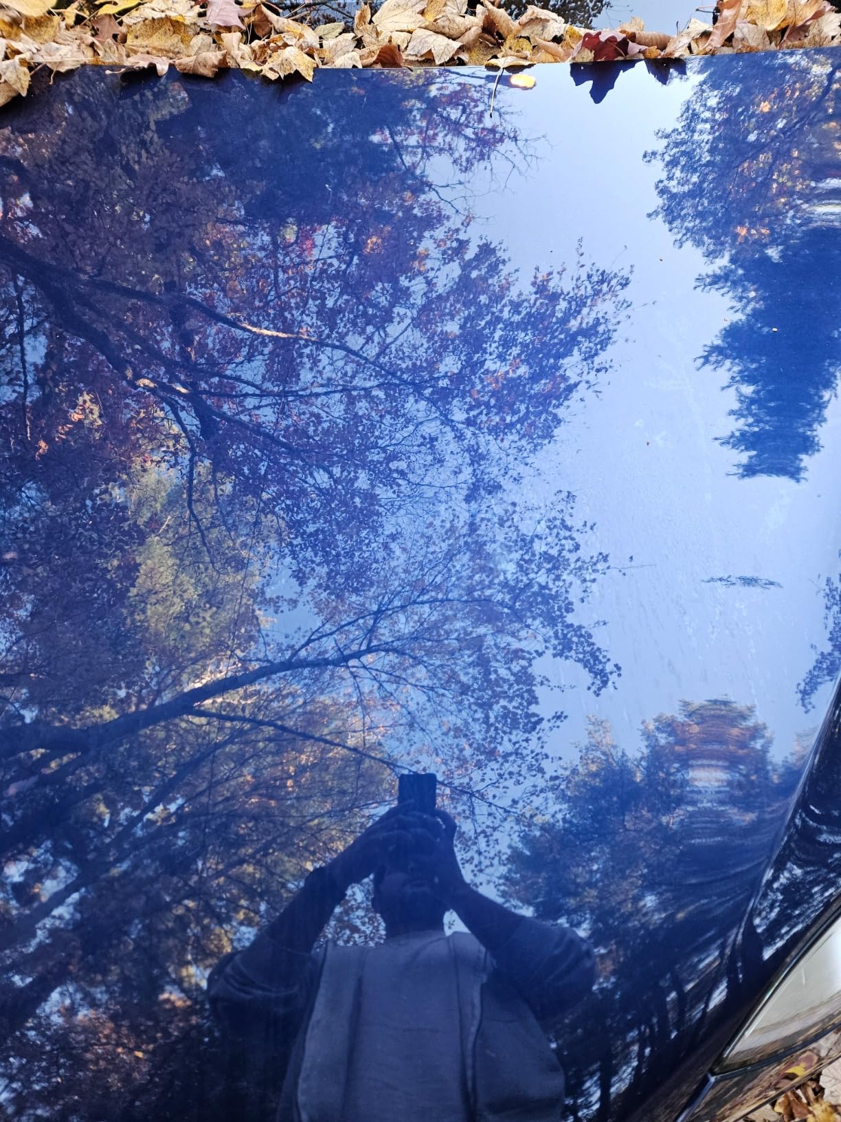 3D BDX Iron Remover - Fast Acting Fallout & Brake Dust Cleaner | Purple Color-Changing Spray for Wheels & Paint | Acid-Free | Made in USA | Car Detailing | 16 oz customer photo 2