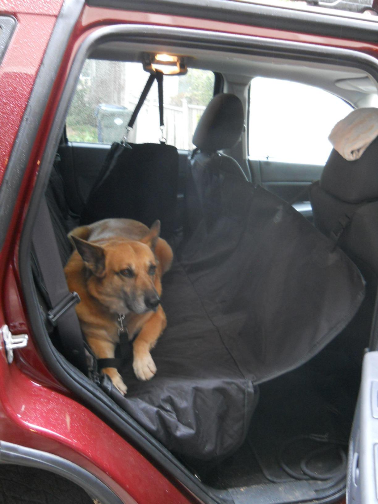 Meadowlark SUV Cargo Liner Dog Seat Covers, Double Stitched & Extra Padded, Water Repellant, Anti Shock, Non-Slip, Car Cover Trunk Mat, Dog Accessories, Pet Car Seat Protector for Fur & Mud customer photo 1