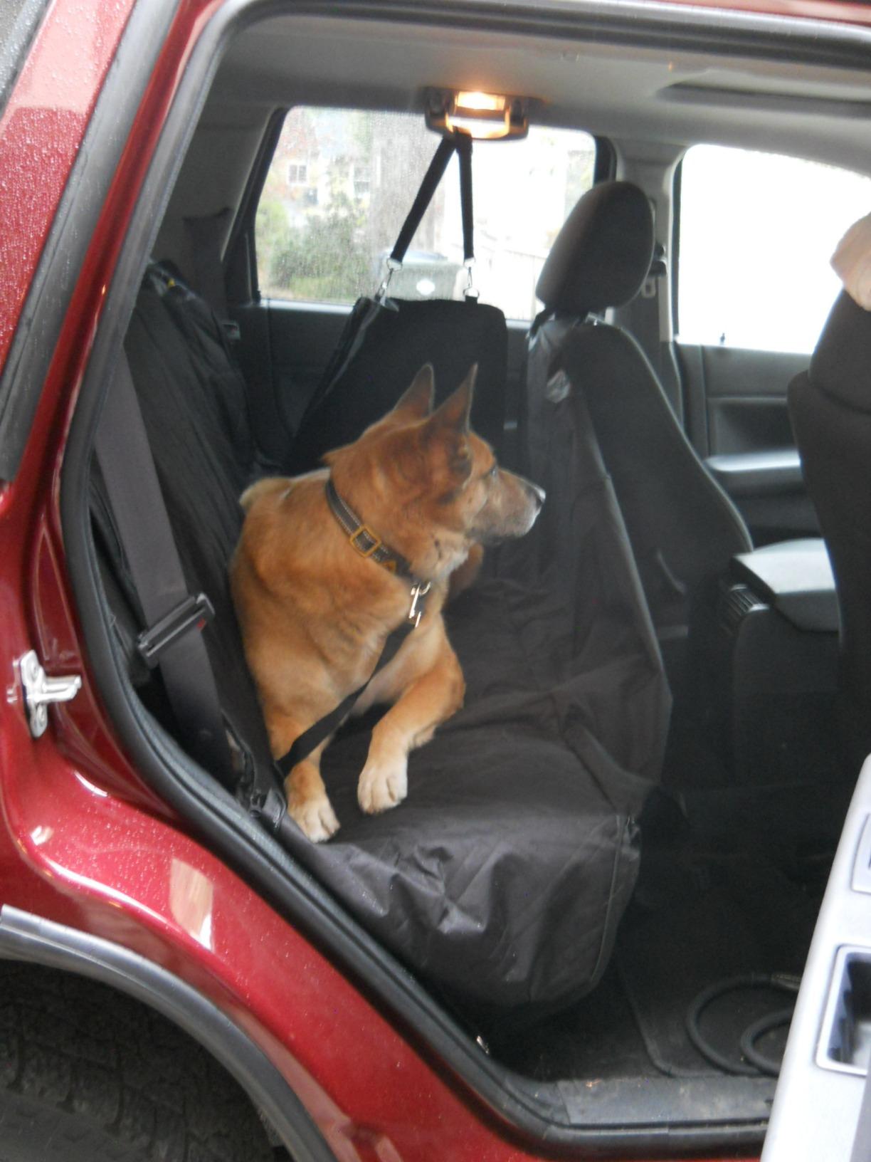 Meadowlark SUV Cargo Liner Dog Seat Covers, Double Stitched & Extra Padded, Water Repellant, Anti Shock, Non-Slip, Car Cover Trunk Mat, Dog Accessories, Pet Car Seat Protector for Fur & Mud customer photo 2