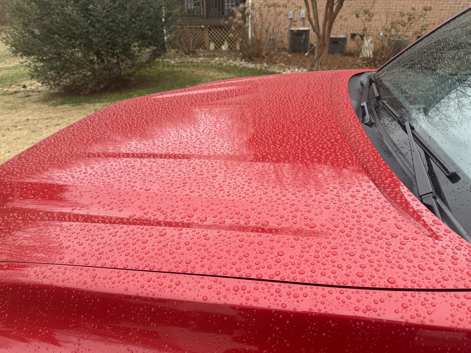 Carbon Force Ceramic Protective Paint Coating System, Professional-Grade Protection, Gloss and Durability, Ceramic Coating Kit with 3 Microsuede Applicators, 1 fl oz customer photo 2