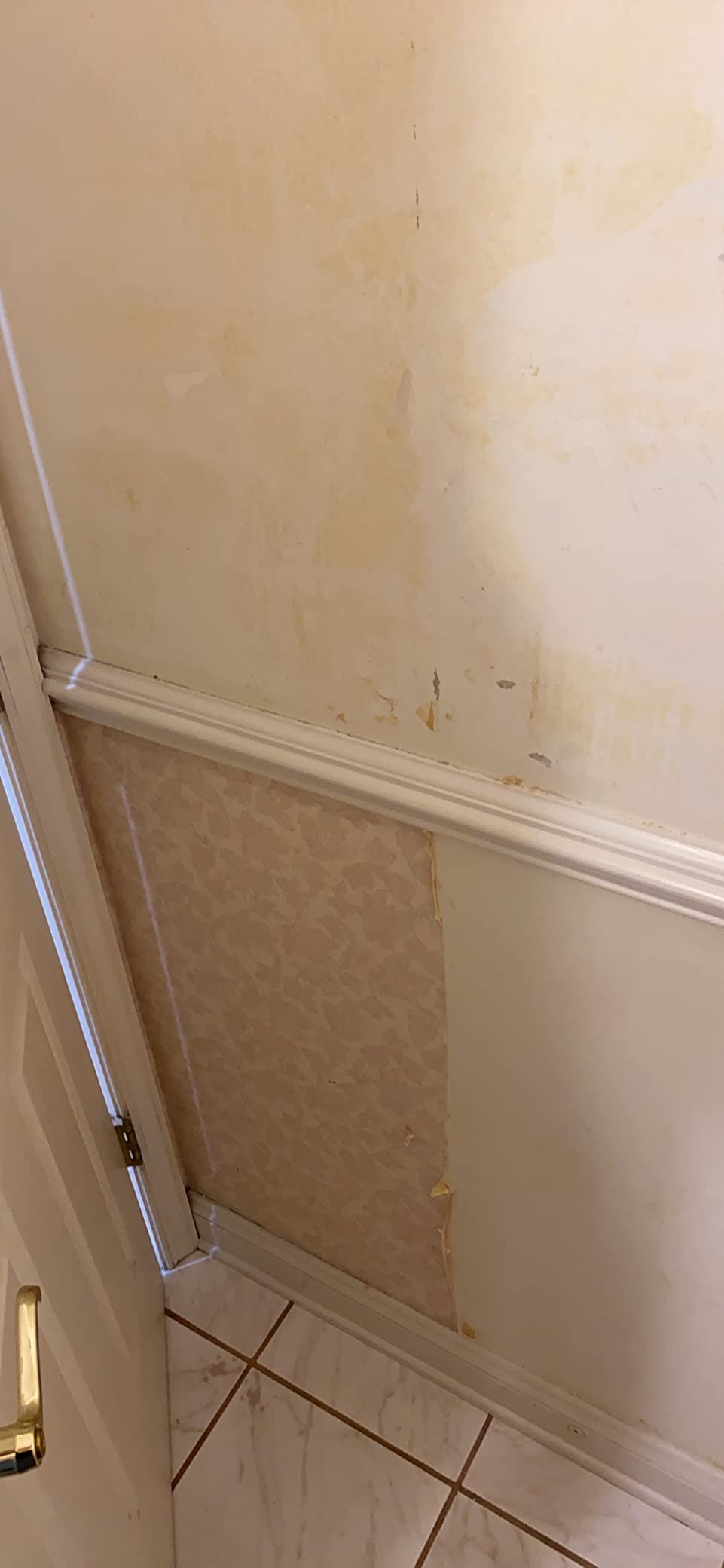 Wagner Spraytech 2418627 725 Wallpaper Steamer, Steam Cleaner for Easy Wallpaper Removal, 2 Steam Plates Included customer photo 1