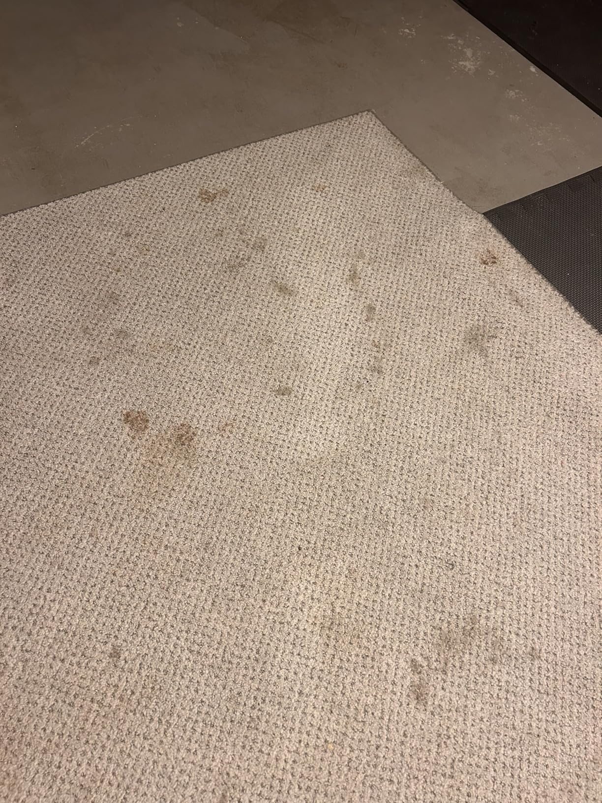 Hoover CleanSlate Plus Portable Carpet + Upholstery Spot Cleaner Machine, Powerful Suction with Versatile Tools, Pet Stain Remover, Car and Auto Detailer customer photo 2