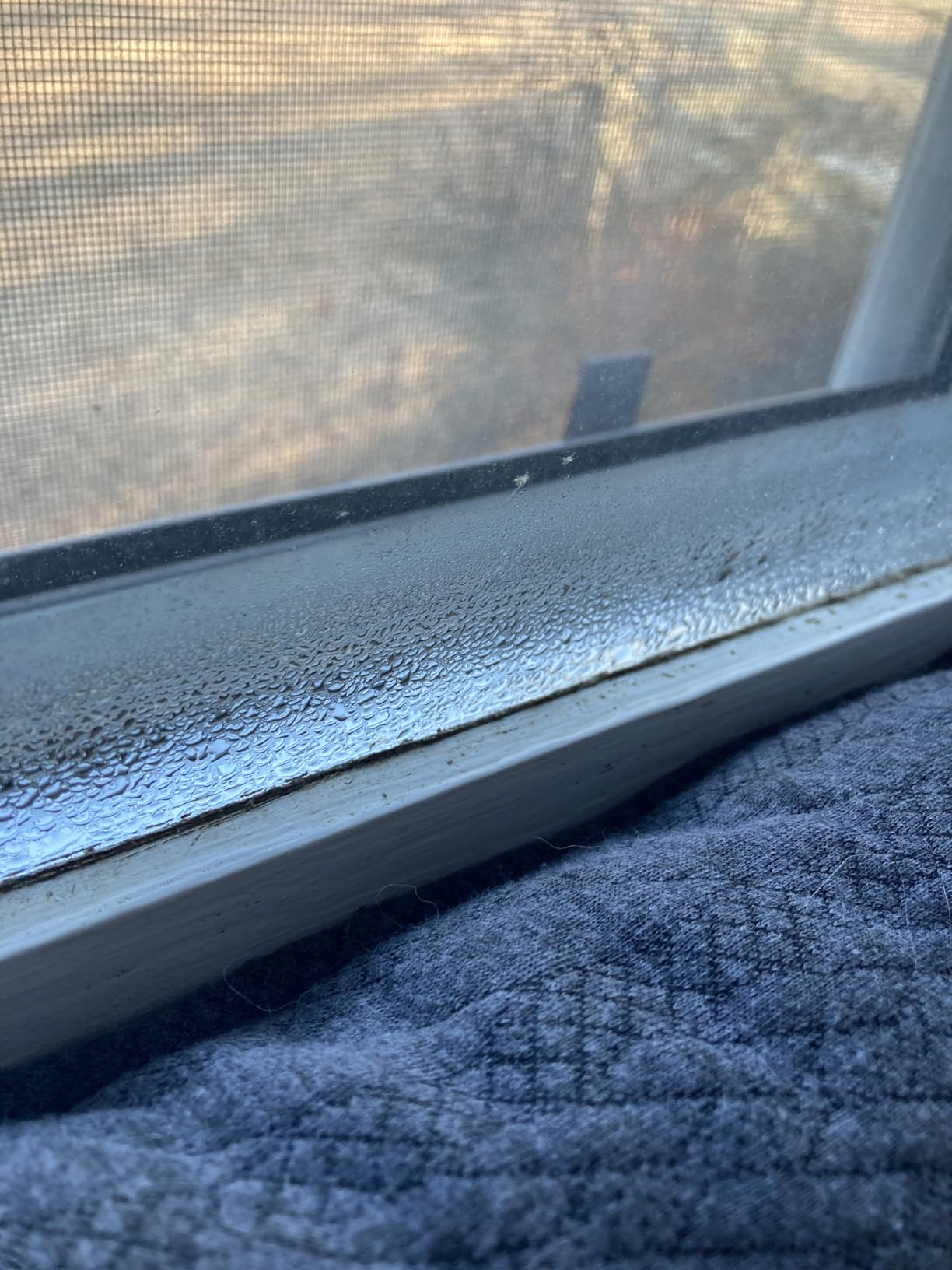 DryTote Rechargeable Desiccant Pack (Pack of 5), Ultimate Moisture Absorption, Color Change Indicator, Safe Storage Protection, Large Capacity 200 Gallons, 100g, Yellow customer photo 2