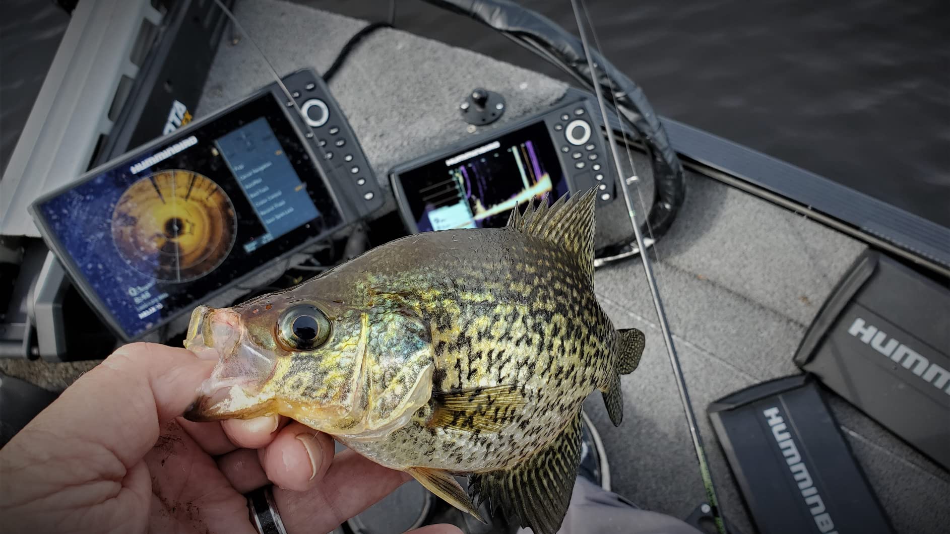 Humminbird Helix 7 G4N GPS Fish Finder with Dual Spectrum Chirp Sonar & MEGA Down Imaging customer photo 2