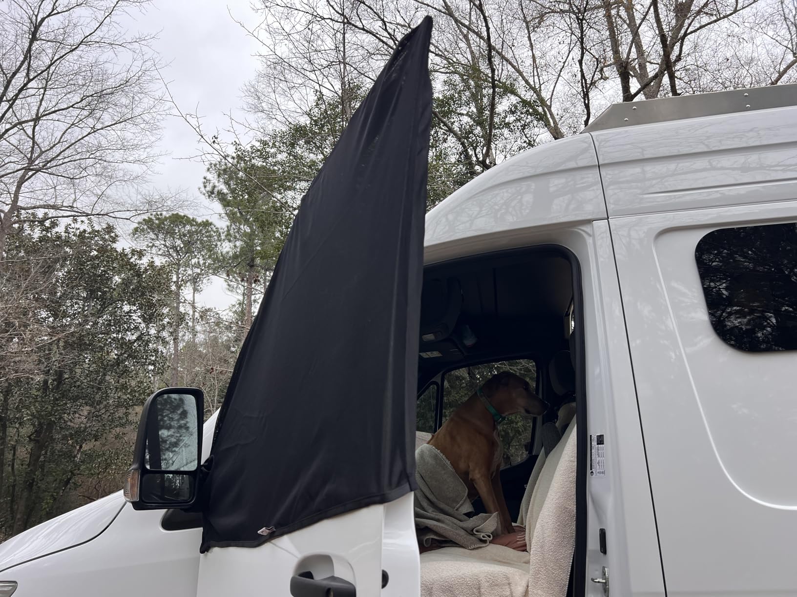 Living in a Bubble Magnetic Bug Screen for Front Doors (Pair), Universal Size for Sprinter, Metris, Ford Transit, and Other Vans & Cars - Car Living Essentials & Van Life Accessories customer photo 1