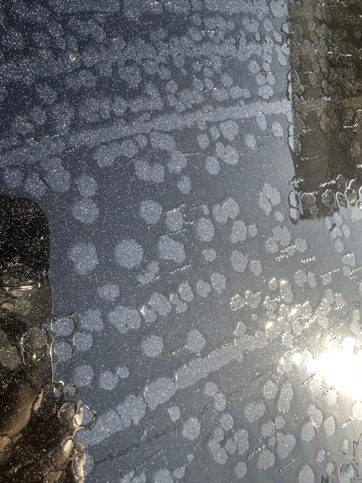 Chemical Guys Clay Bar Kit - Complete System - Clay Bar and Luber Combo with Accessories for Smooth Paint Finish - Removes Embedded Dirt, Overspray, and Fallout - 6 Item Kit customer photo 2