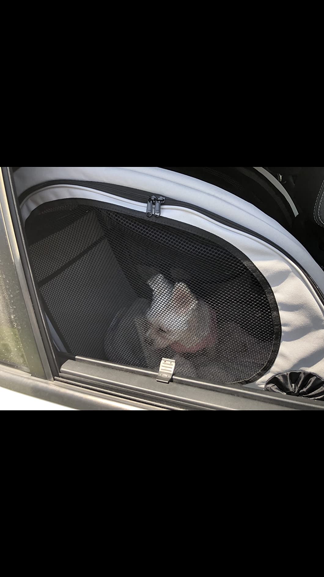 PetSafe Happy Ride Collapsible Travel Crate - Safe Travel Containment with Heavy Duty Aluminum Frame, Mesh Windows, Convenient Storage Pockets & Secure Seat Belt Access - Road Trip Crate customer photo 2