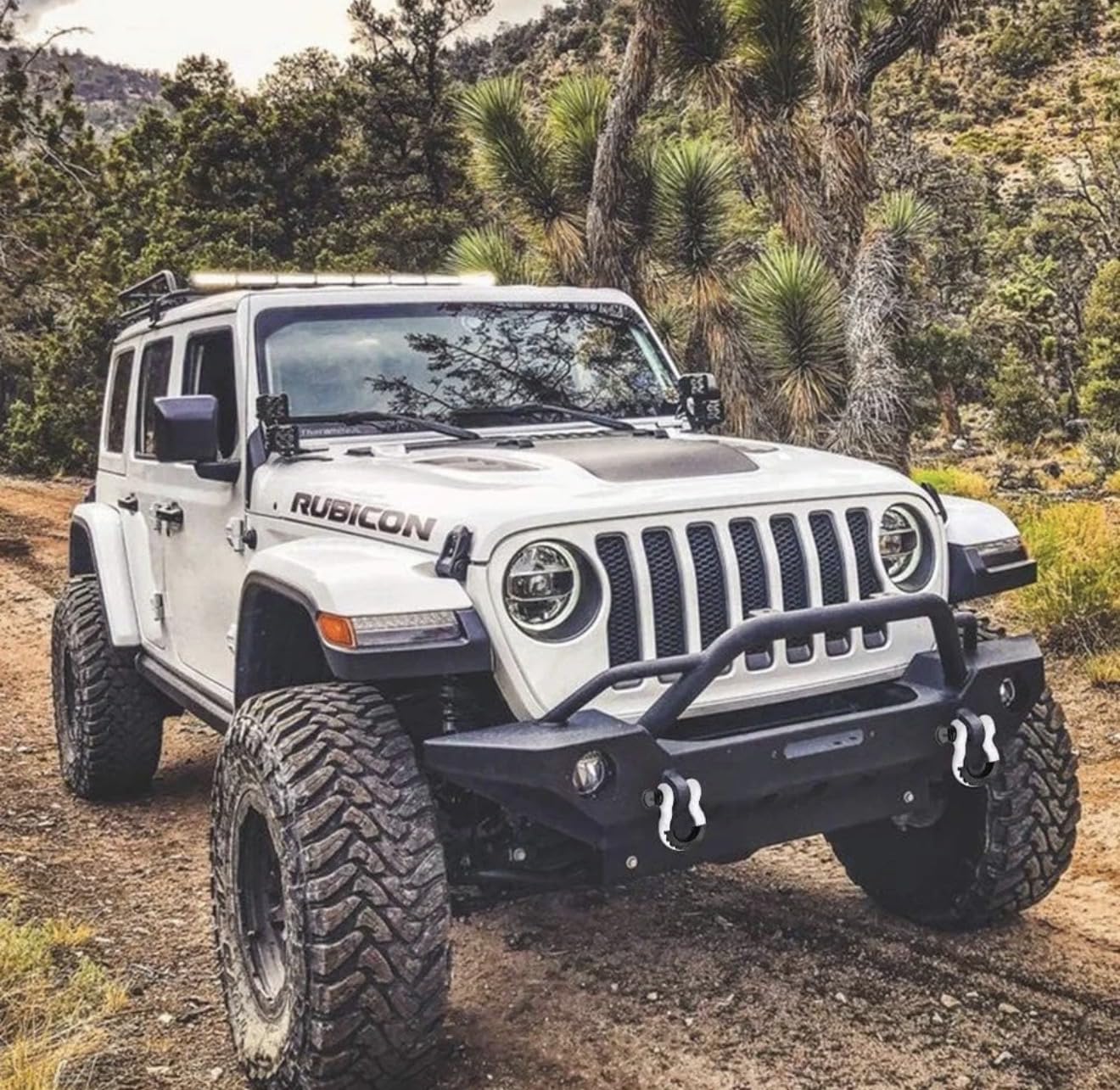 Rhino USA Super D Ring Shackles (2-Pack) - 70,548lb Break Strength - Heavy Duty 3/4