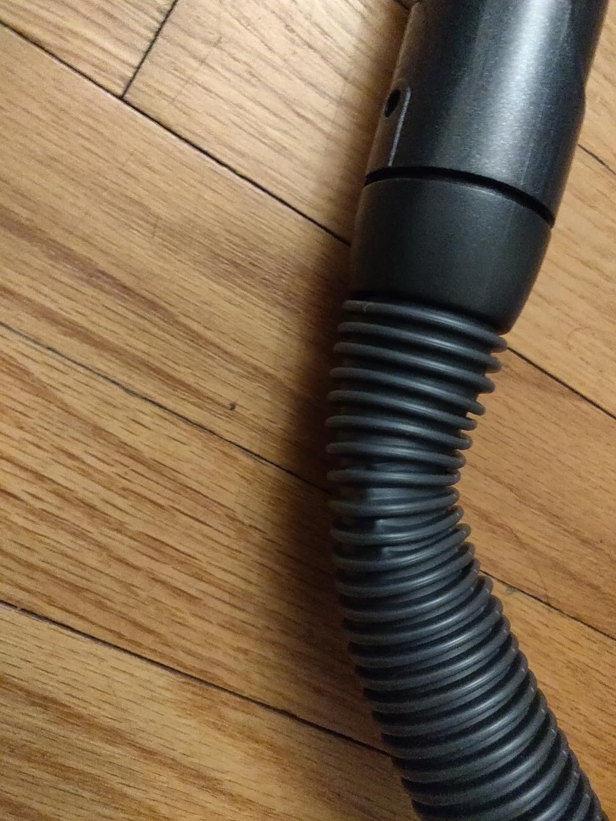 Bissell Little Green Pet Deluxe Portable Carpet Cleaner and Car/Auto Detailer, 3353, Gray/Blue customer photo 2