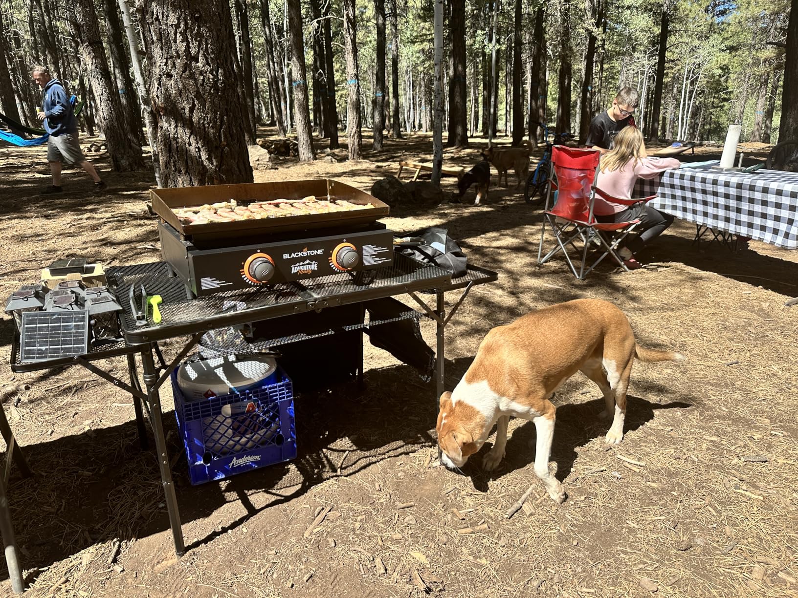 Nice C Folding Grill Table, Camping Table, Tailgate Tables, Grill Tables, Outdoor, Metal Folding Adjustable Height&Width, Mesh Net, Carry Handle customer photo 1