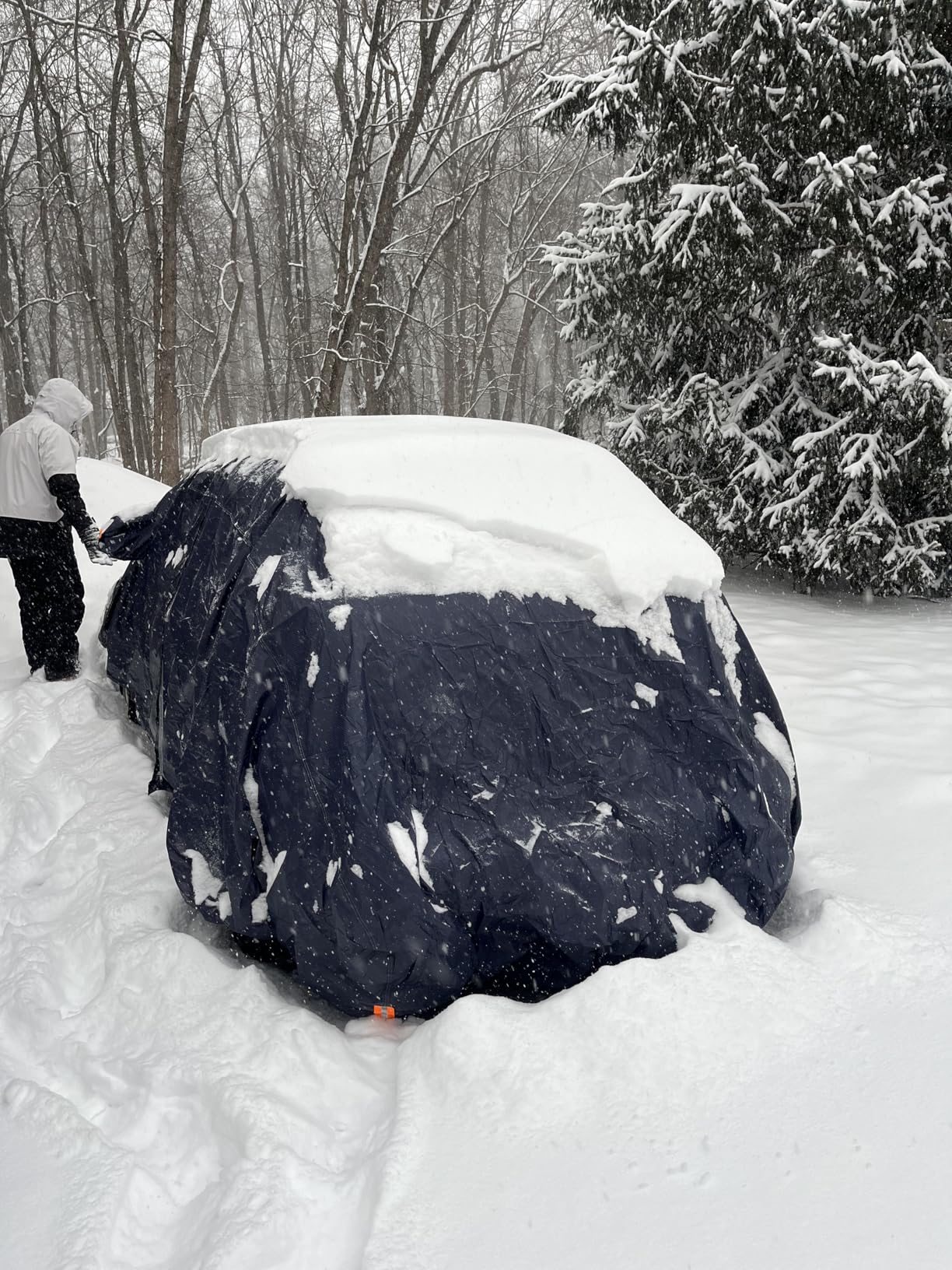 Car Cover Waterproof All Weather for Automobiles, 6 Layers Outdoor Full Exterior Cover Rain Sun UV Snowproof Protection with Zipper Cotton, Mirror Pocket for Sedan (190-195 inch) customer photo 1