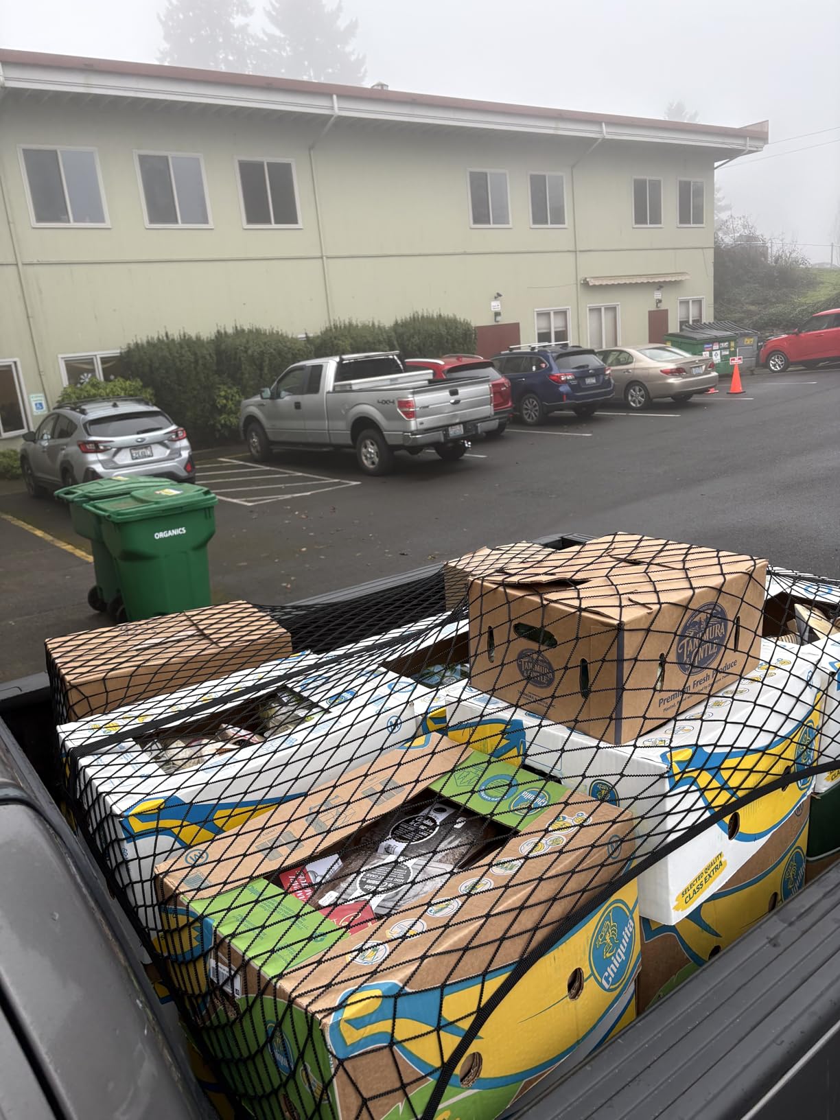 Highly Elastic Cargo Net, Simple Truck Bed Cargo Mesh Organizer, Suitable for Daily Light Loads of Trucks, 4'x4' Stretches to 7'x7' (Single Layer) customer photo 2