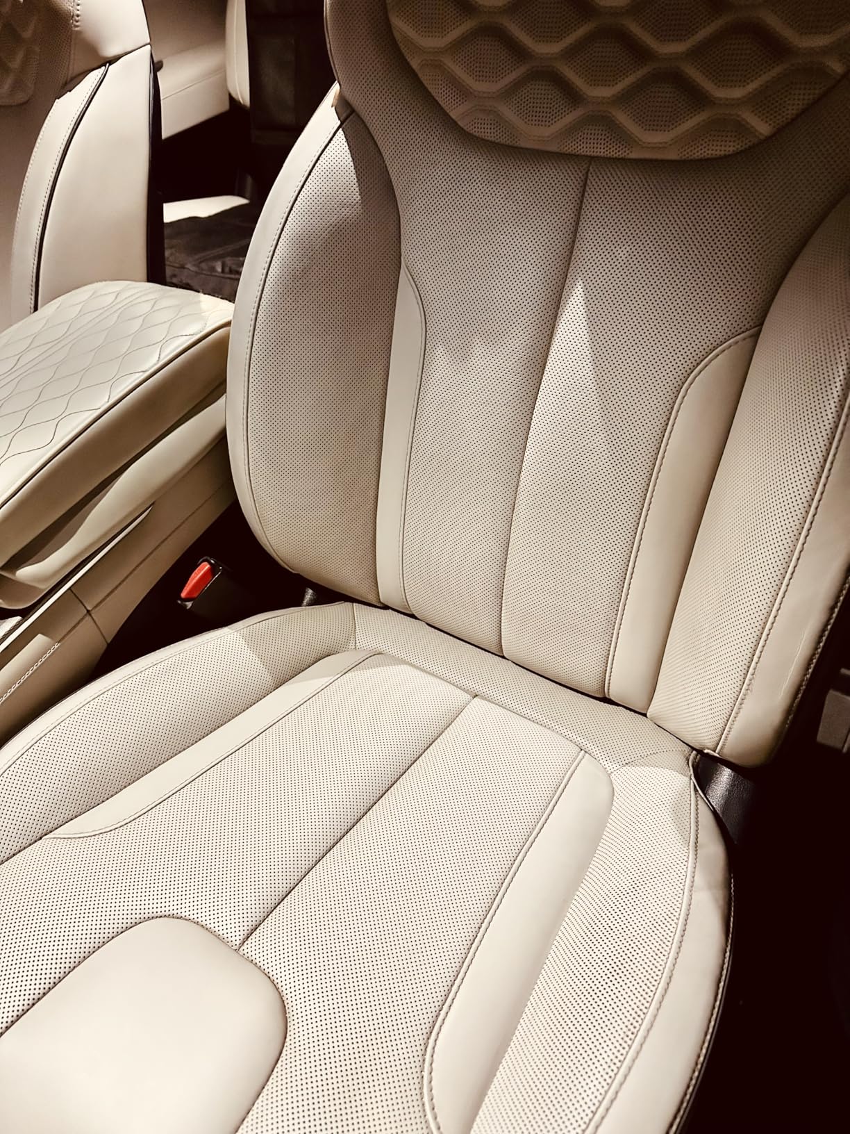 Jay Leno's Garage Leather Cleaner and Conditioner for Car Interior - Advanced Car Seat Leather Cleaner and Conditioner, Auto Leather Care Kit for Interior Detailing and Upholstery Cleaning customer photo 1