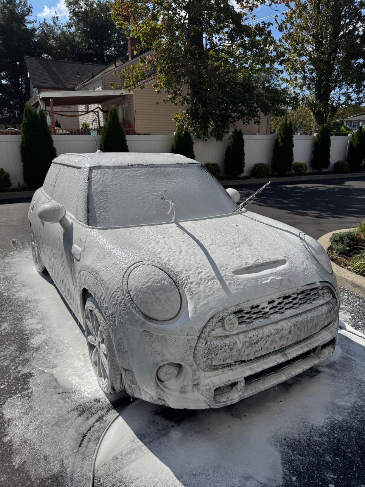 Foam Cannon for Pressure Washer, Snow Clear Foam Cannon for Car Wash, Stainless Steel Filter, Adjustable Nozzle with M22 and 1/4 Inch Quick Connect, Additional 1.1 mm Orifice Nozzle customer photo 2