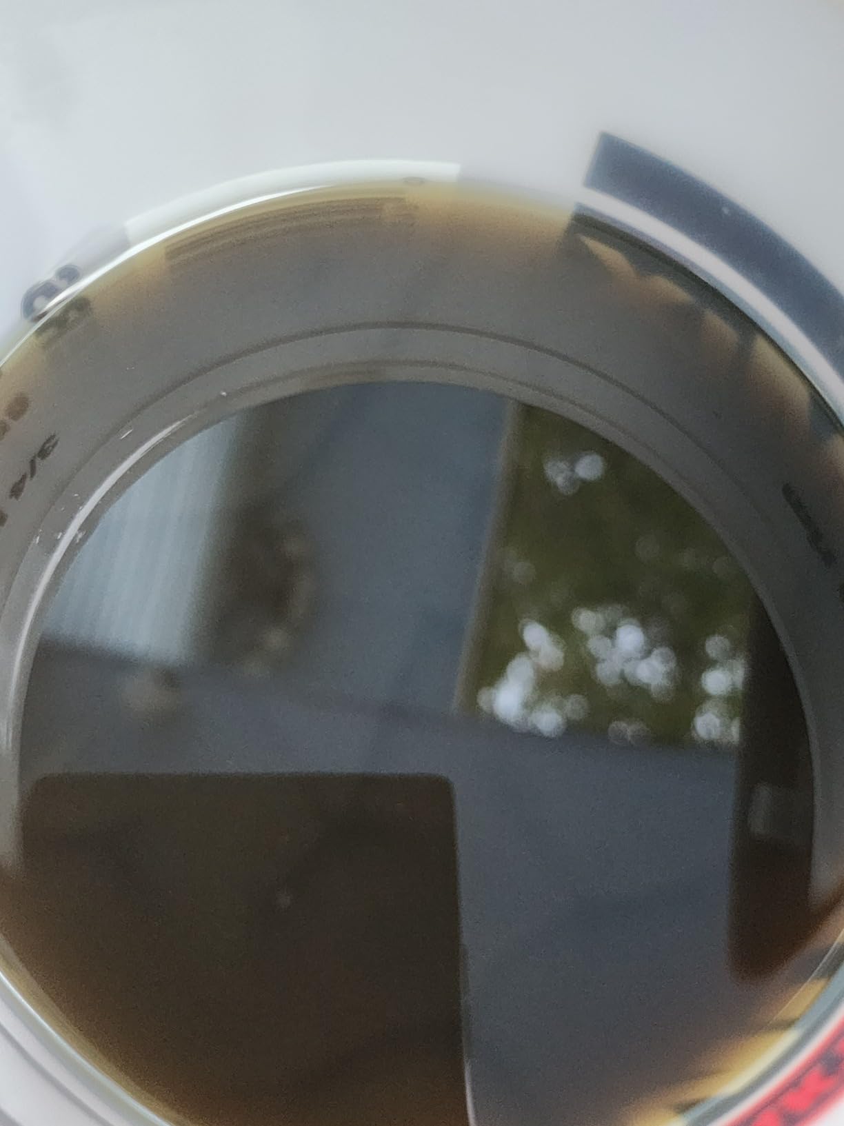 WEN 3600-Watt Portable Inverter Generator, RV-Ready, Quiet and Lightweight with Fuel Shut Off (56360i) customer photo 1