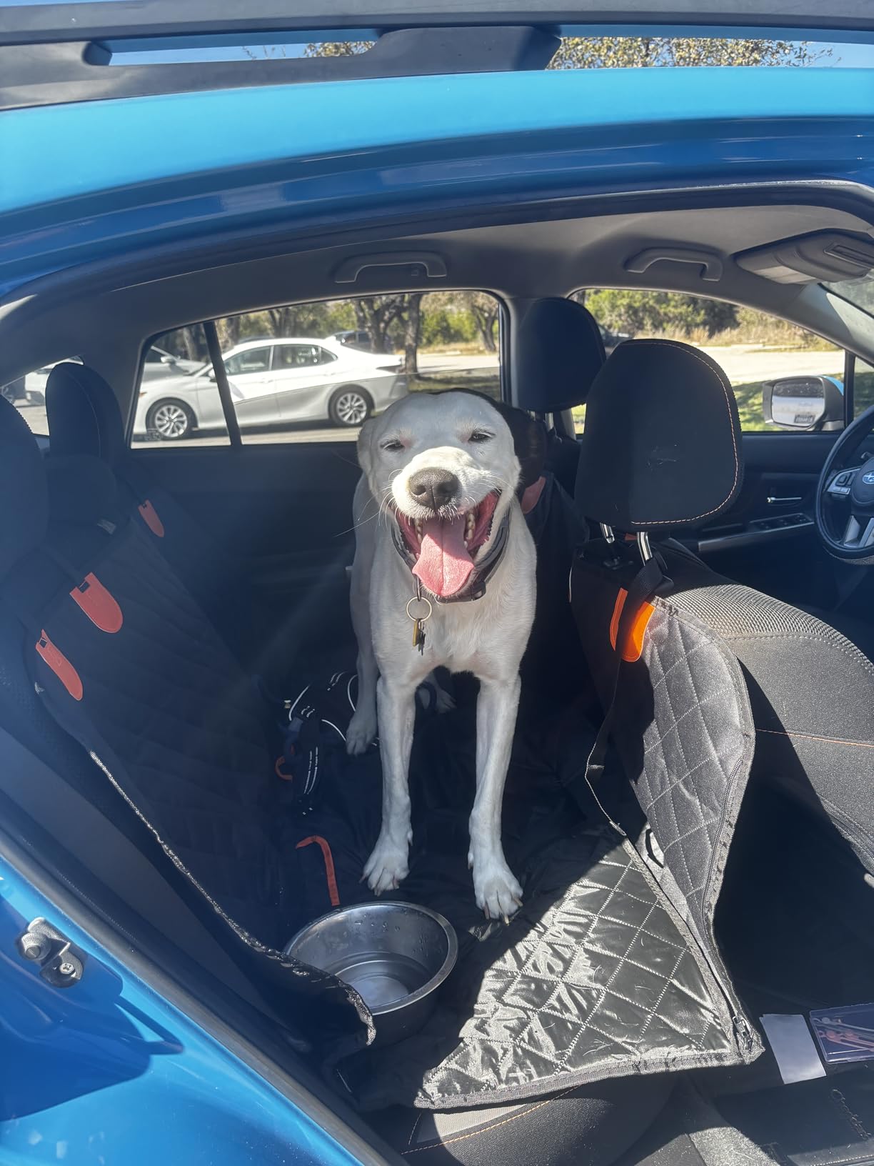 4-in-1 SUV Cargo Liner for Dogs, Non-Slip Water Resistant Pet Trunk Mat with Side Flaps Protector & Back Seat Organizer, Dog Backseat Cover for SUVs Vans customer photo 1