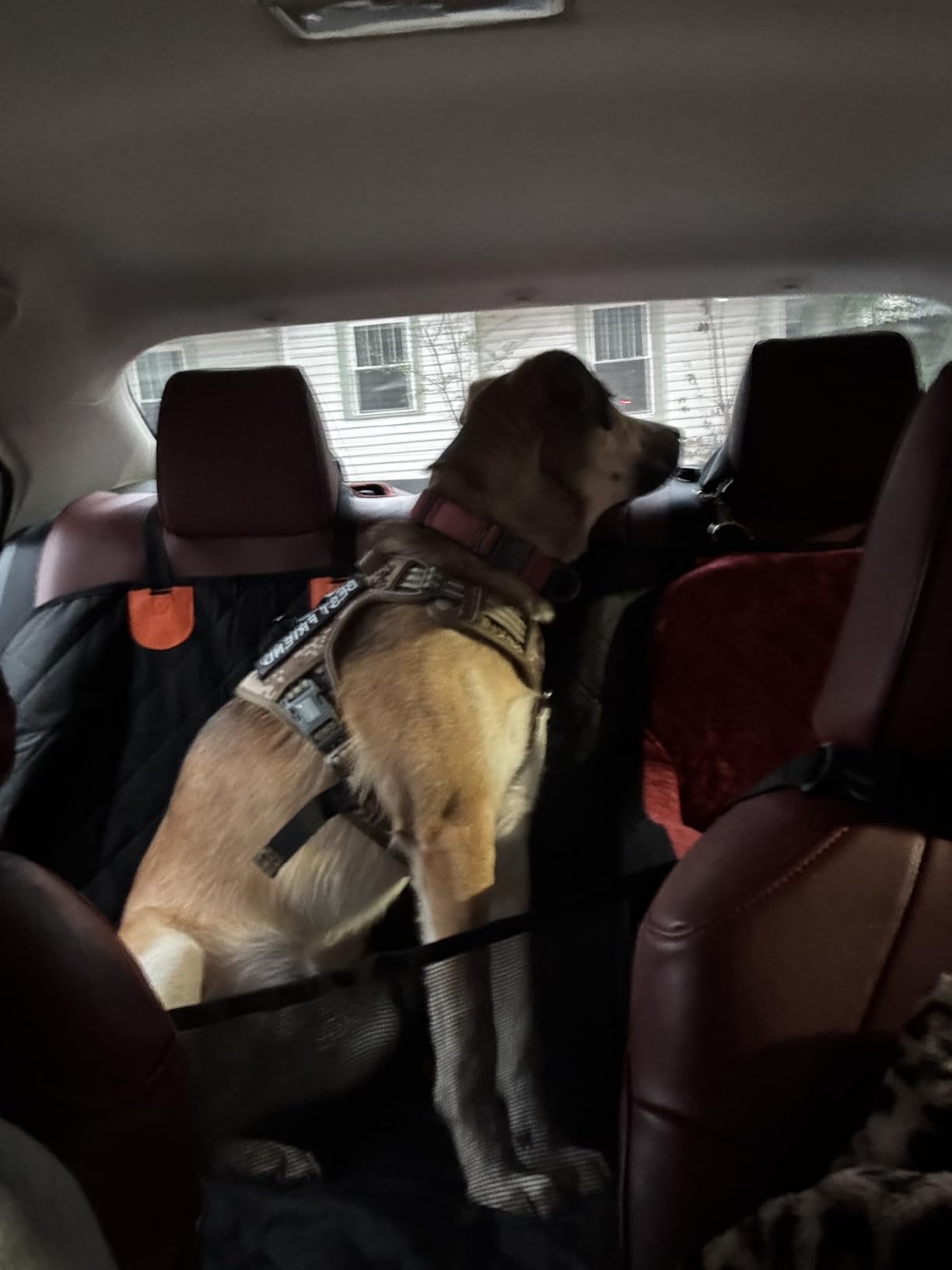 4-in-1 SUV Cargo Liner for Dogs, Non-Slip Water Resistant Pet Trunk Mat with Side Flaps Protector & Back Seat Organizer, Dog Backseat Cover for SUVs Vans customer photo 2