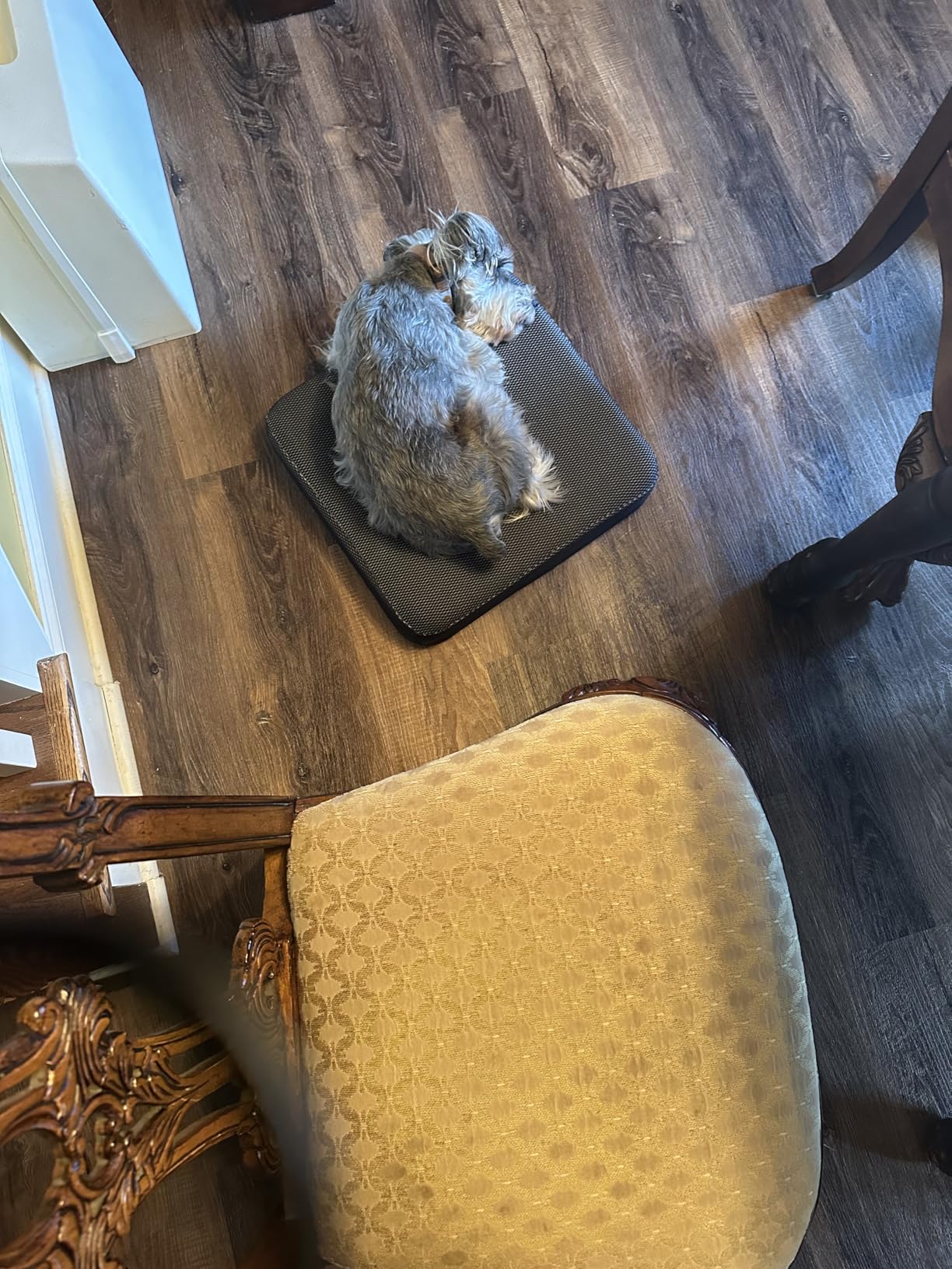 CYLEN Ifoam Gel Infused Memory Foam Layer Wheelchair Cushion - Seat Cushion for Wheelchair-Office Chair, Kitchen Chair, Car Seats-Pressure Sore and Tailbone Pain Relief-High Dense Polyfoam Base(Black) customer photo 1