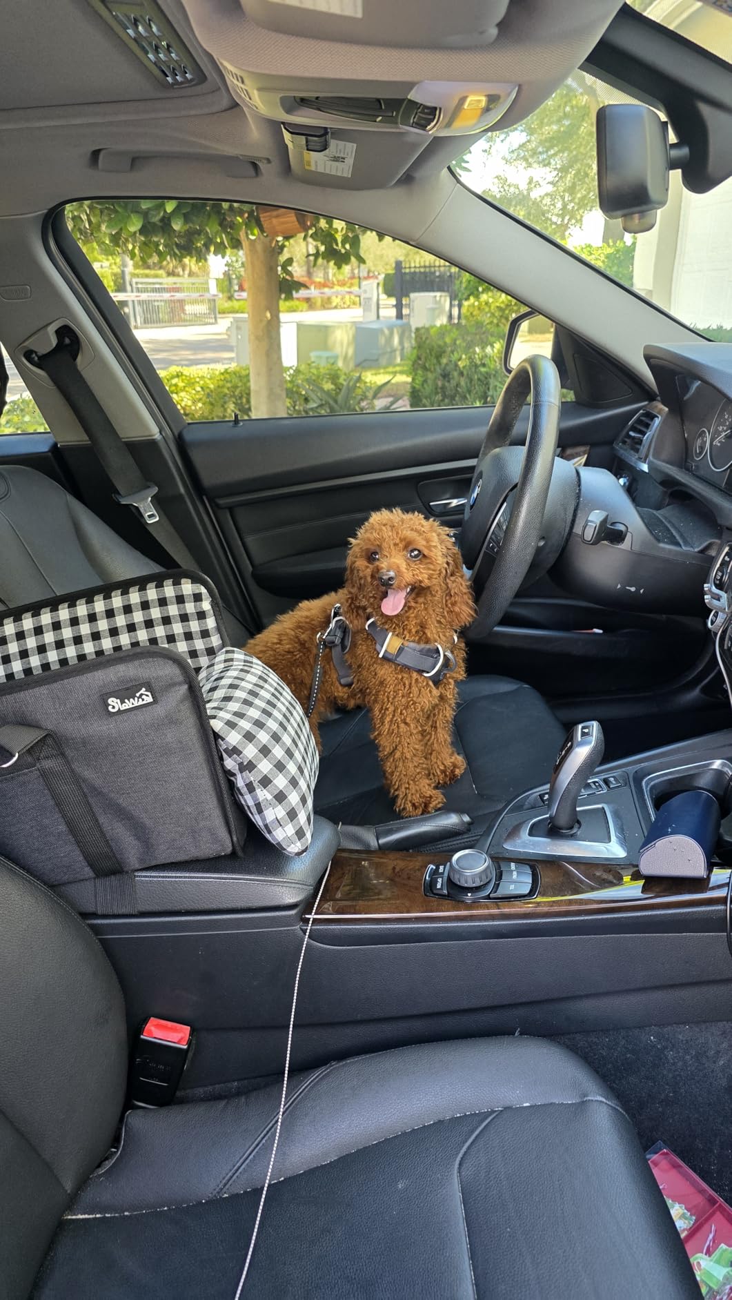 SlowTon Console Dog Car Seat - Portable Dogs Armrest Booster Seat for Small Dog, Anti-Collapse Pet Car Seat with Soft Cushion Safety Belt, Support Pet Up to 11lbs (Black) customer photo 2