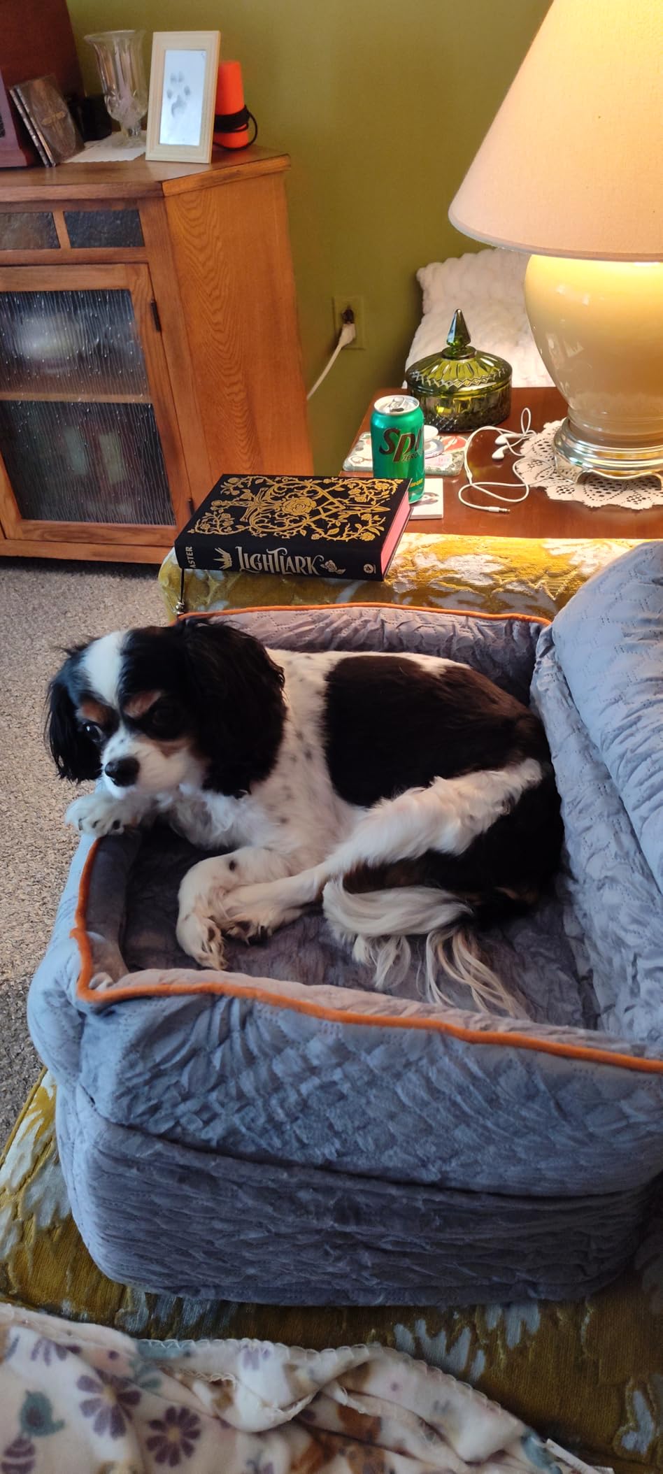 Dog Car Seat - Memory Foam Dog Booster Seat for Small Dogs Up to 25lbs - Elevated Pet Car Seat with Storage Pockets and Dog Seat Belt - Soft Pet Travel Bed for Front & Back Seats - Removable Washable (Grey) customer photo 1