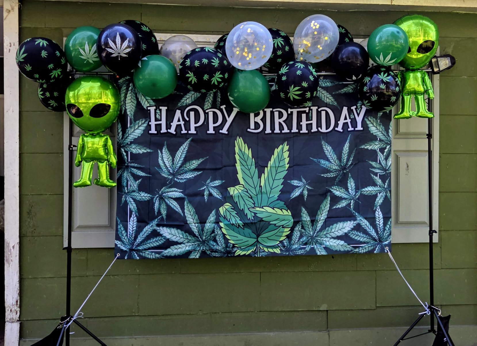 LINCO Backdrop Stand for Parties Kit 10x7 ft Adjustable Back Drop Photography Studio Photo Background Support System with Clamps, Sand Bag, Carrying Bag 4172 customer photo 1