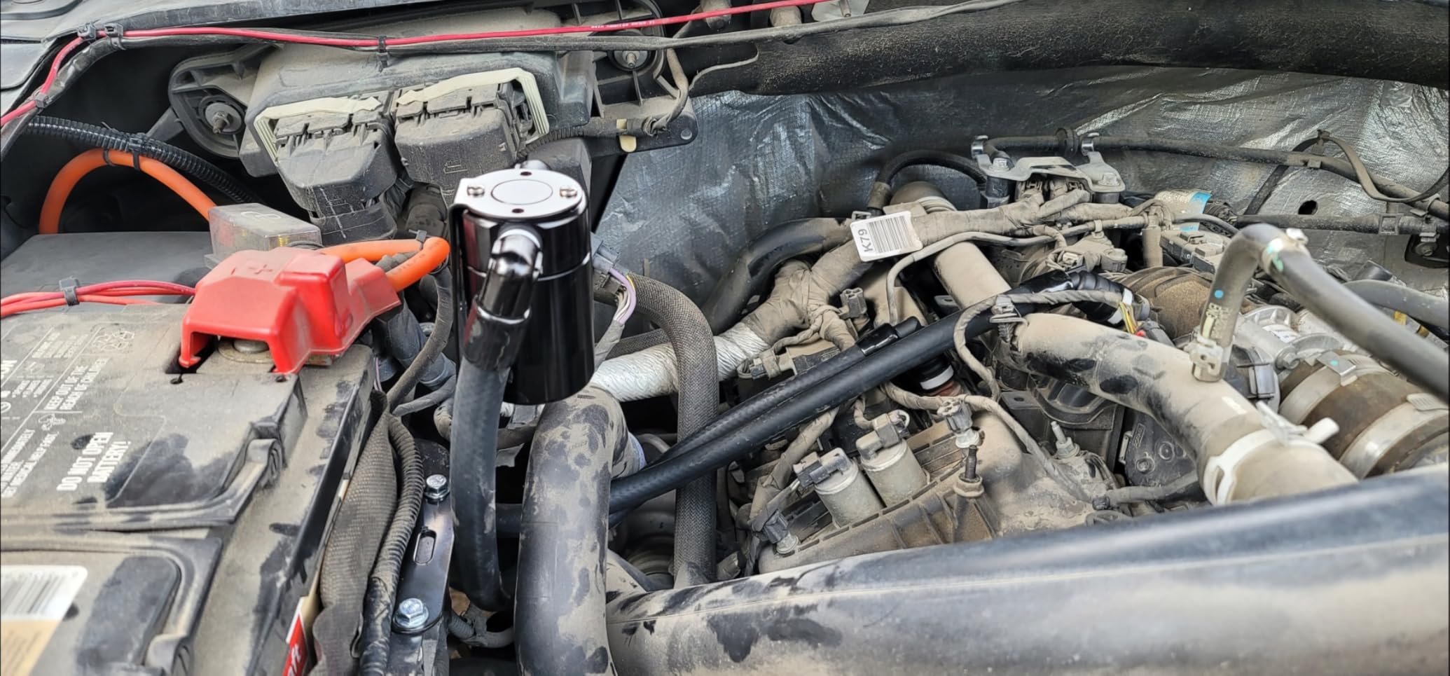 EVIL ENERGY Oil Catch Can, Air Oil Separator Compatible with 2011-2025 F-150 5.0L 2017-2023 Raptor 2018-2021 Expedition 3OZ customer photo 2