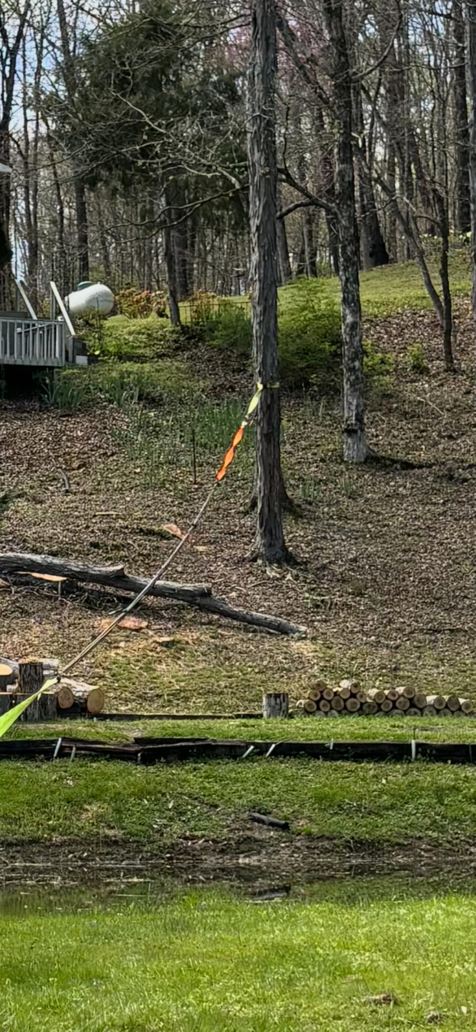 HFS(R) Tree Saver, Winch Strap, Tow Strap 30,000 Pound Capacity (3X8FT, Orange) customer photo 1