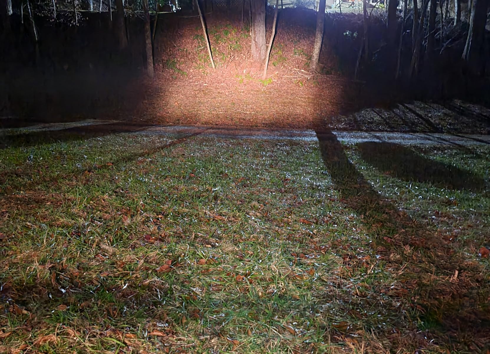 SEALIGHT 7443 7440 LED Bulb Switchback Dual Color (White/Amber), 7444 T20 LED Light With Turbo Fan, Amber For Turn Signal Blinker,White For Daytime Running Light, Anti Hyper Flash (Pack of 2) customer photo 2