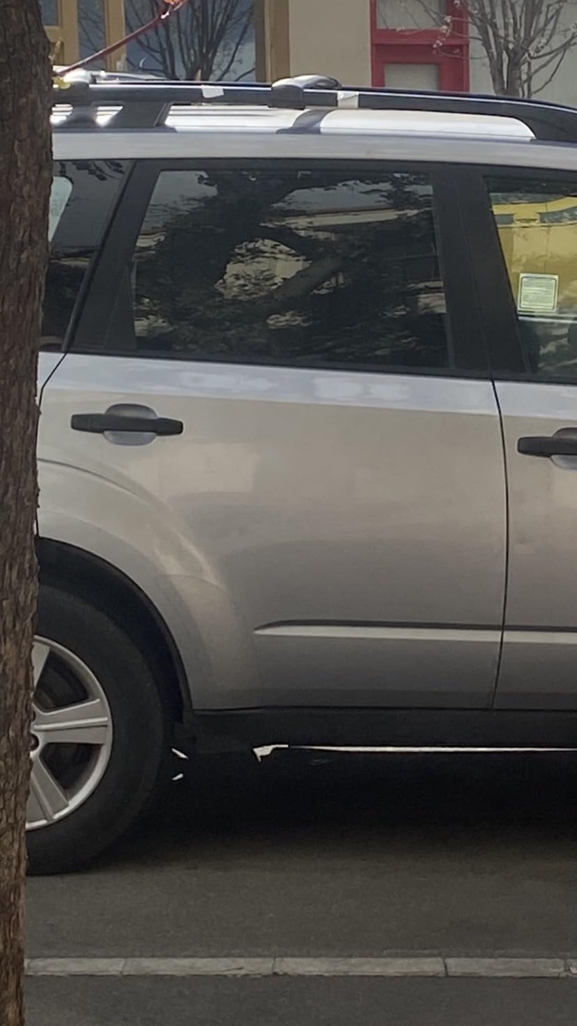 Car Window Shades, 2 PCS Magnetic Double Layer Auto Sun Shade for Side Windows Privacy Full Covers/Half Shade Options Back Car Window Curtains for Baby Protection customer photo 1